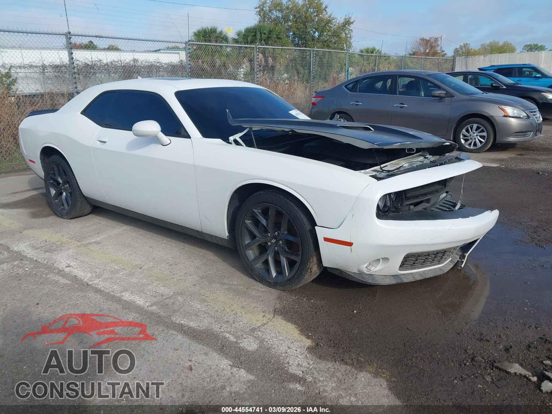 DODGE CHALLENGER 2019 - 2C3CDZAG9KH551483