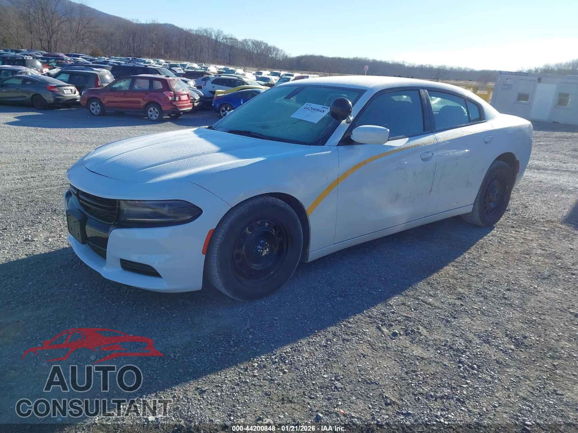 DODGE CHARGER 2019 - 2C3CDXKT3KH755213