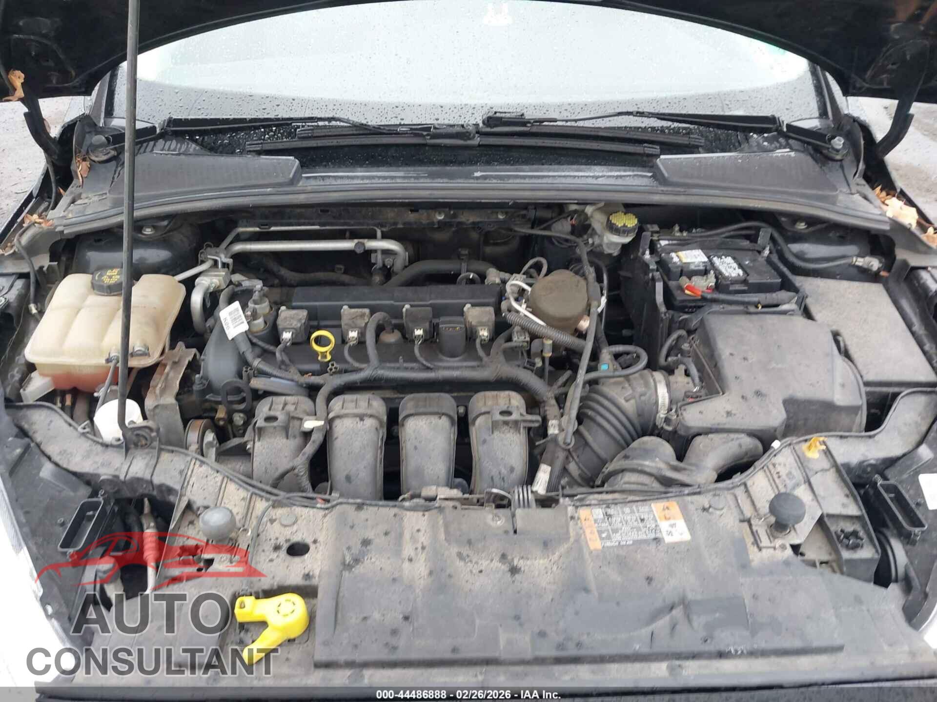 FORD FOCUS 2016 - 1FADP3K23GL222799
