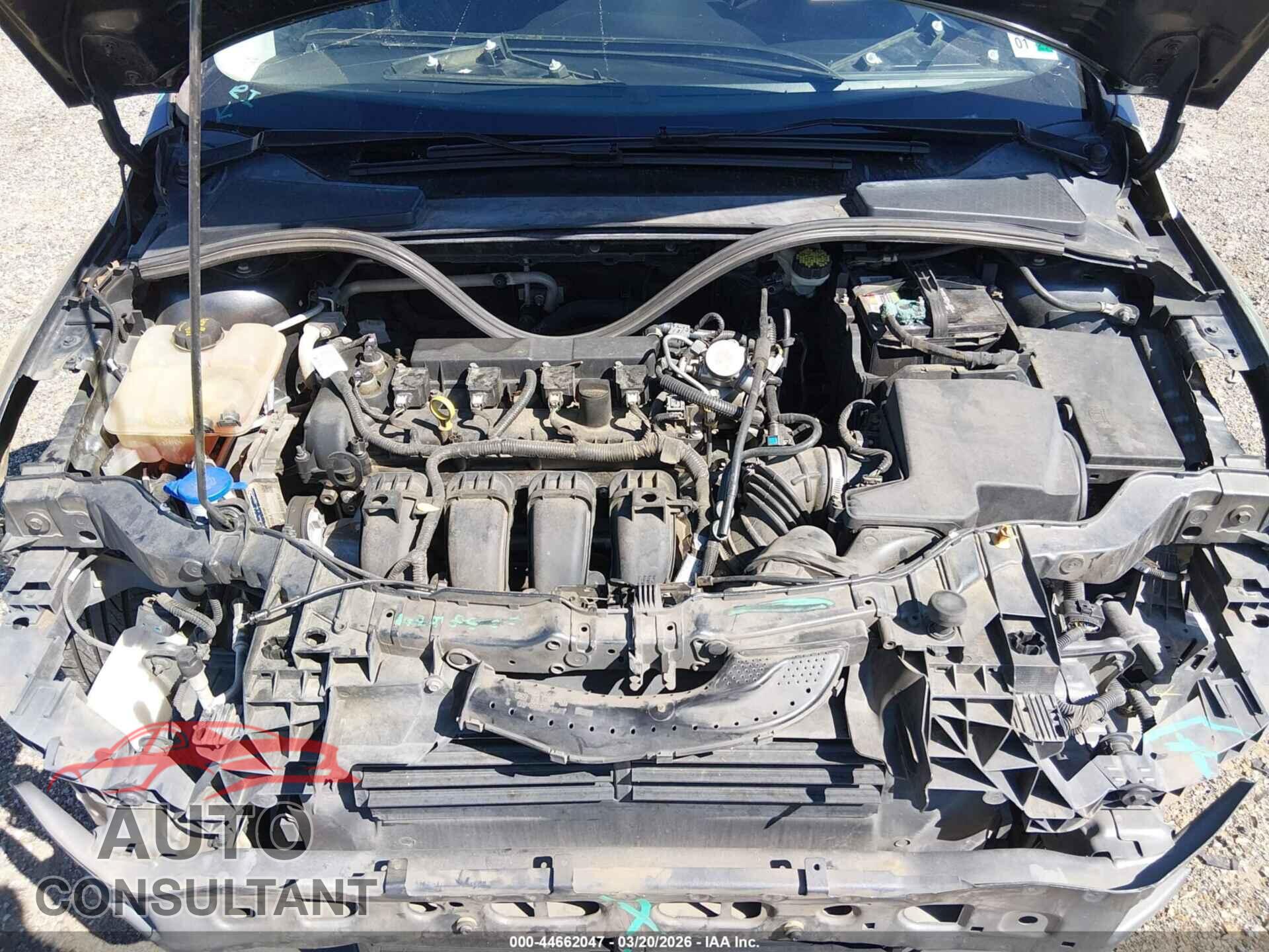 FORD FOCUS 2016 - 1FADP3F20GL391012