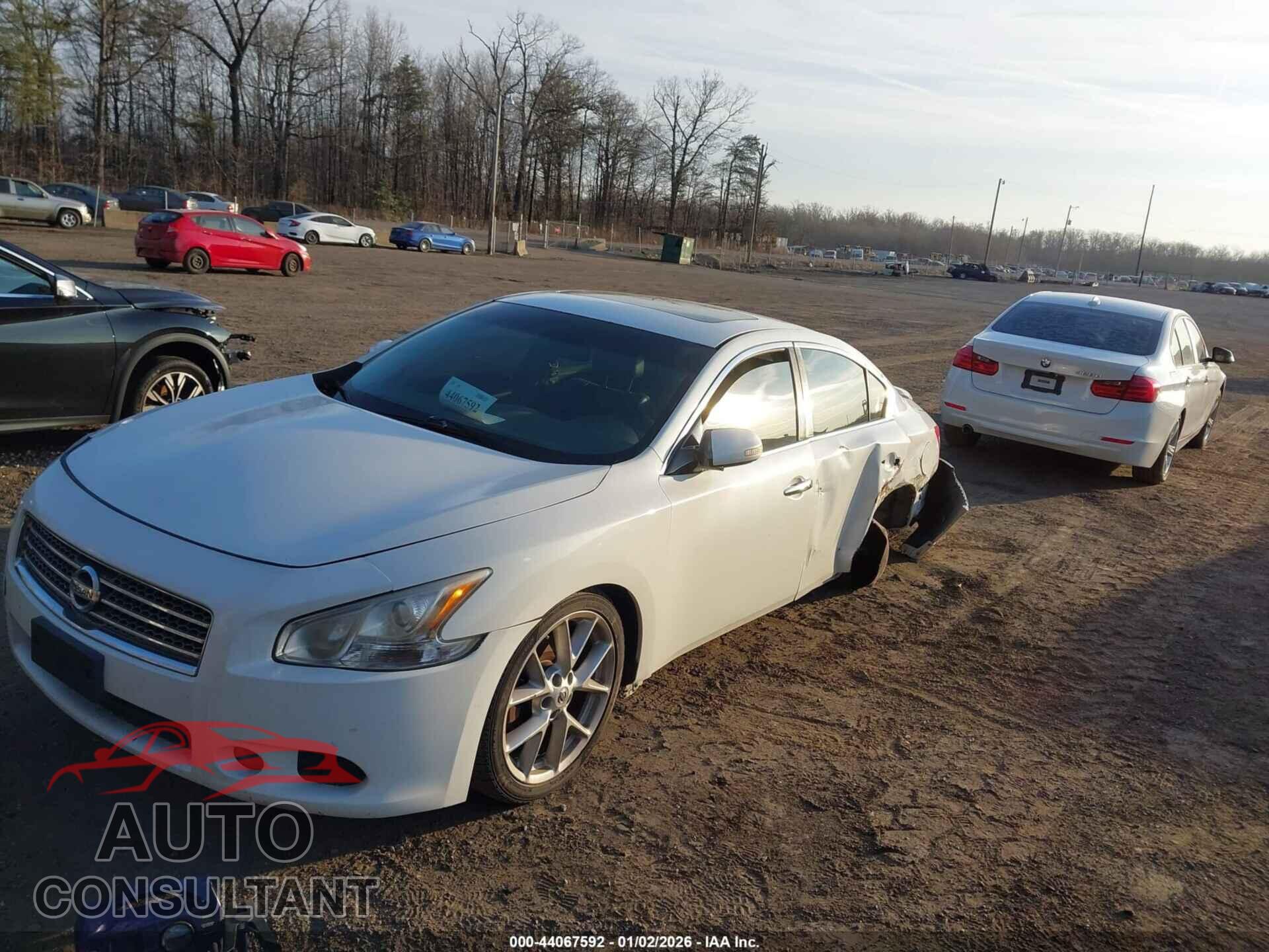 NISSAN MAXIMA 2009 - 1N4AA51E39C829574