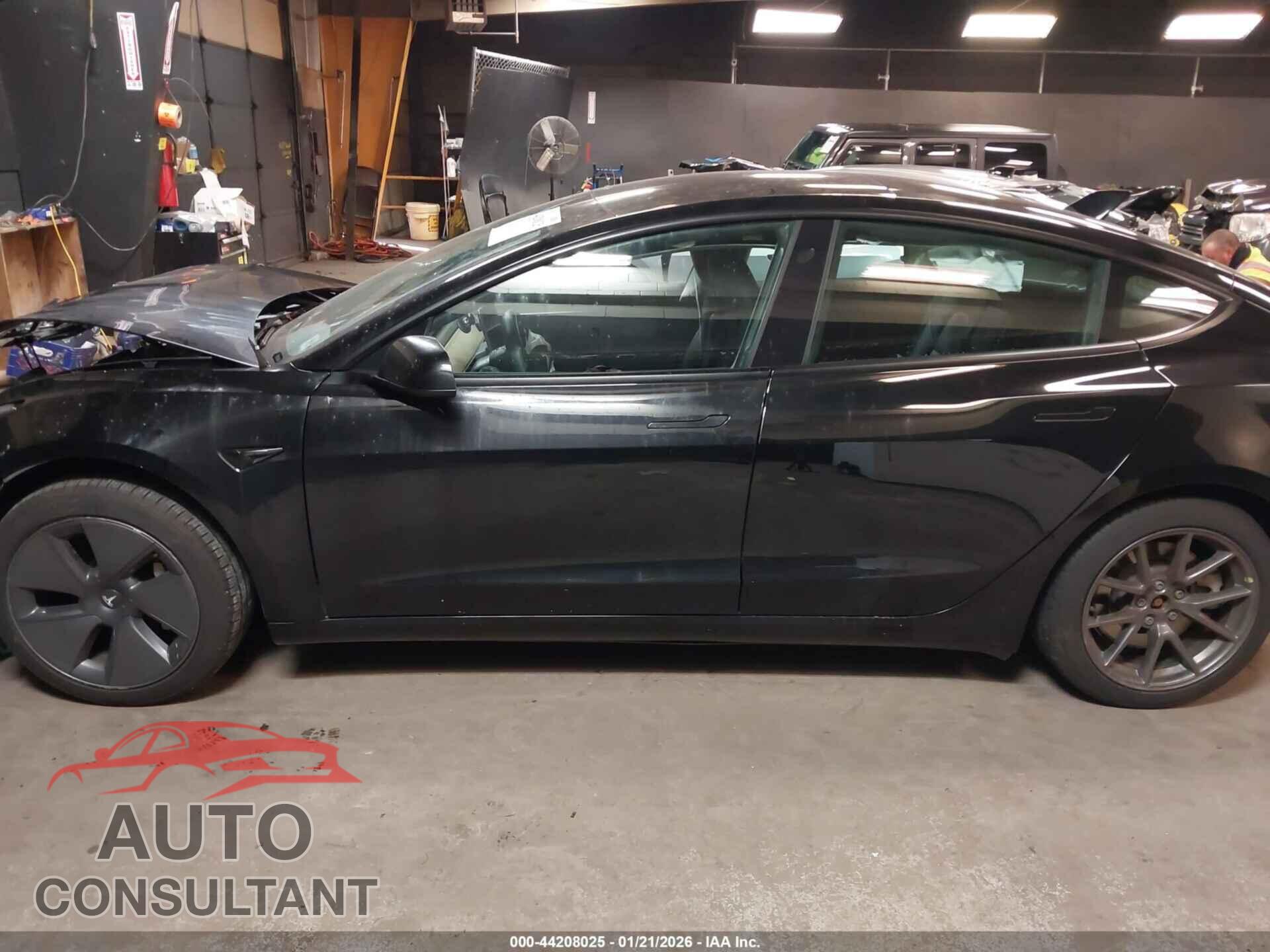 TESLA MODEL 3 2021 - 5YJ3E1EA3MF029781