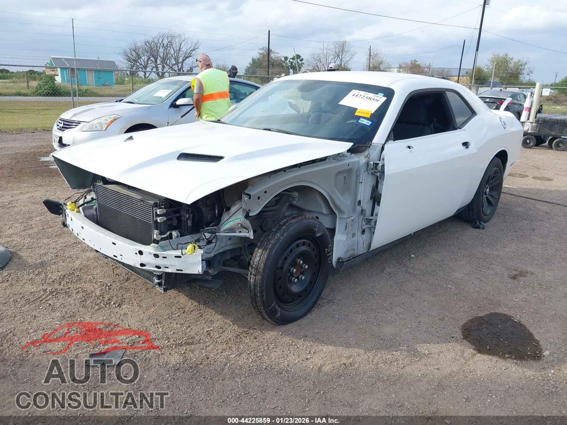 DODGE CHALLENGER 2019 - 2C3CDZAG5KH687769