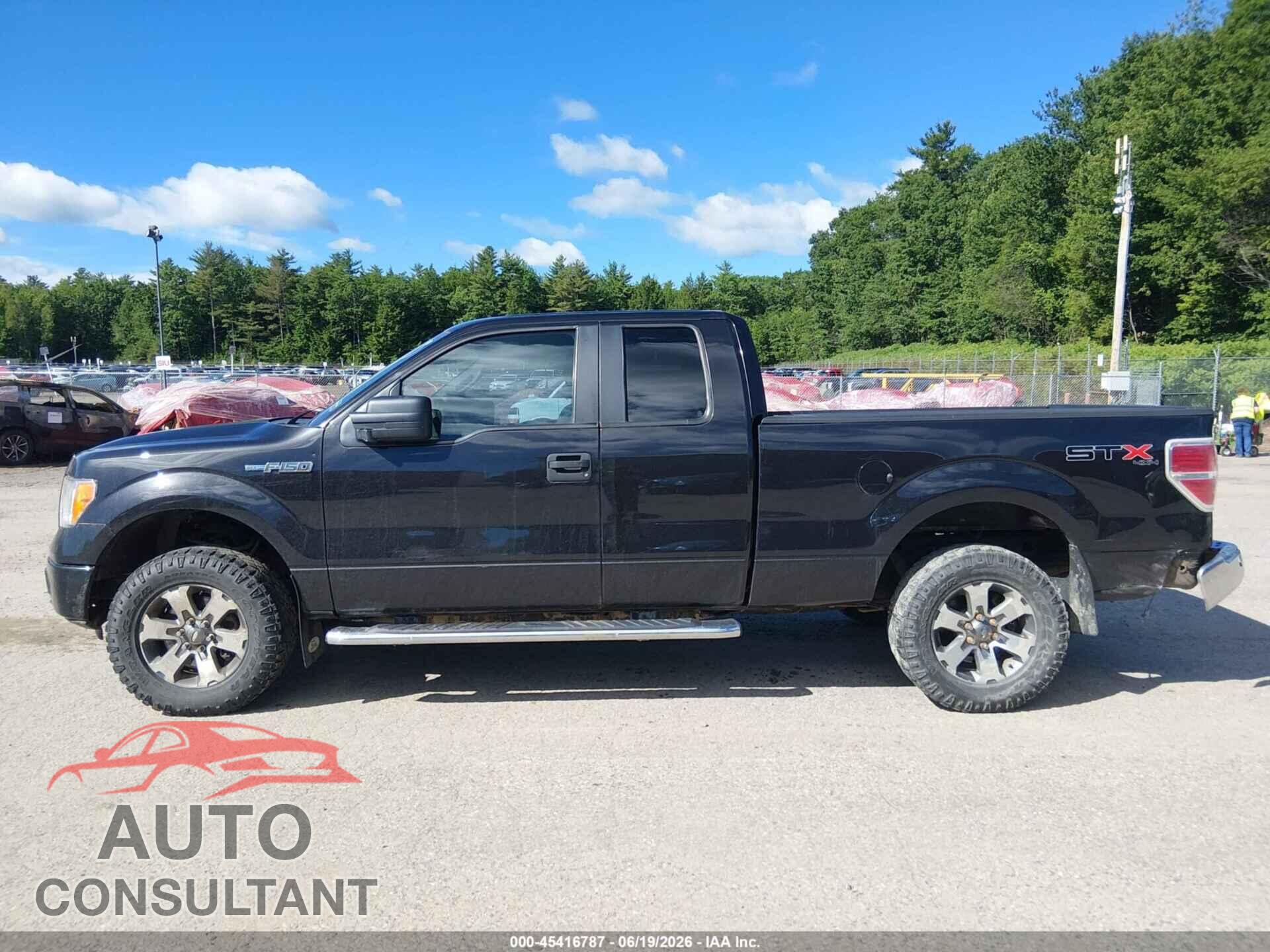 FORD F-150 2013 - 1FTFX1EFXDFC08673