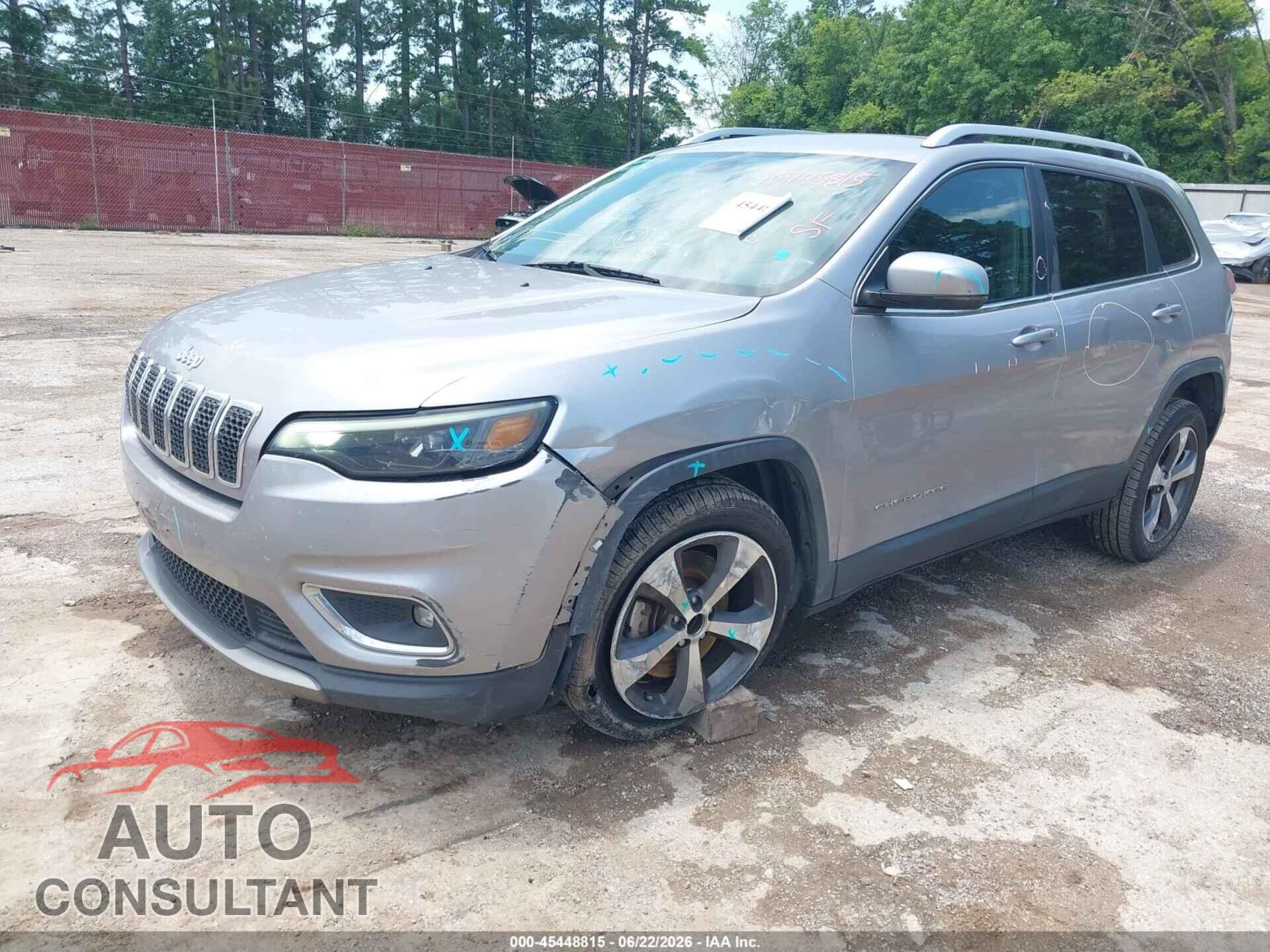 JEEP CHEROKEE 2019 - 1C4PJLDB7KD427552