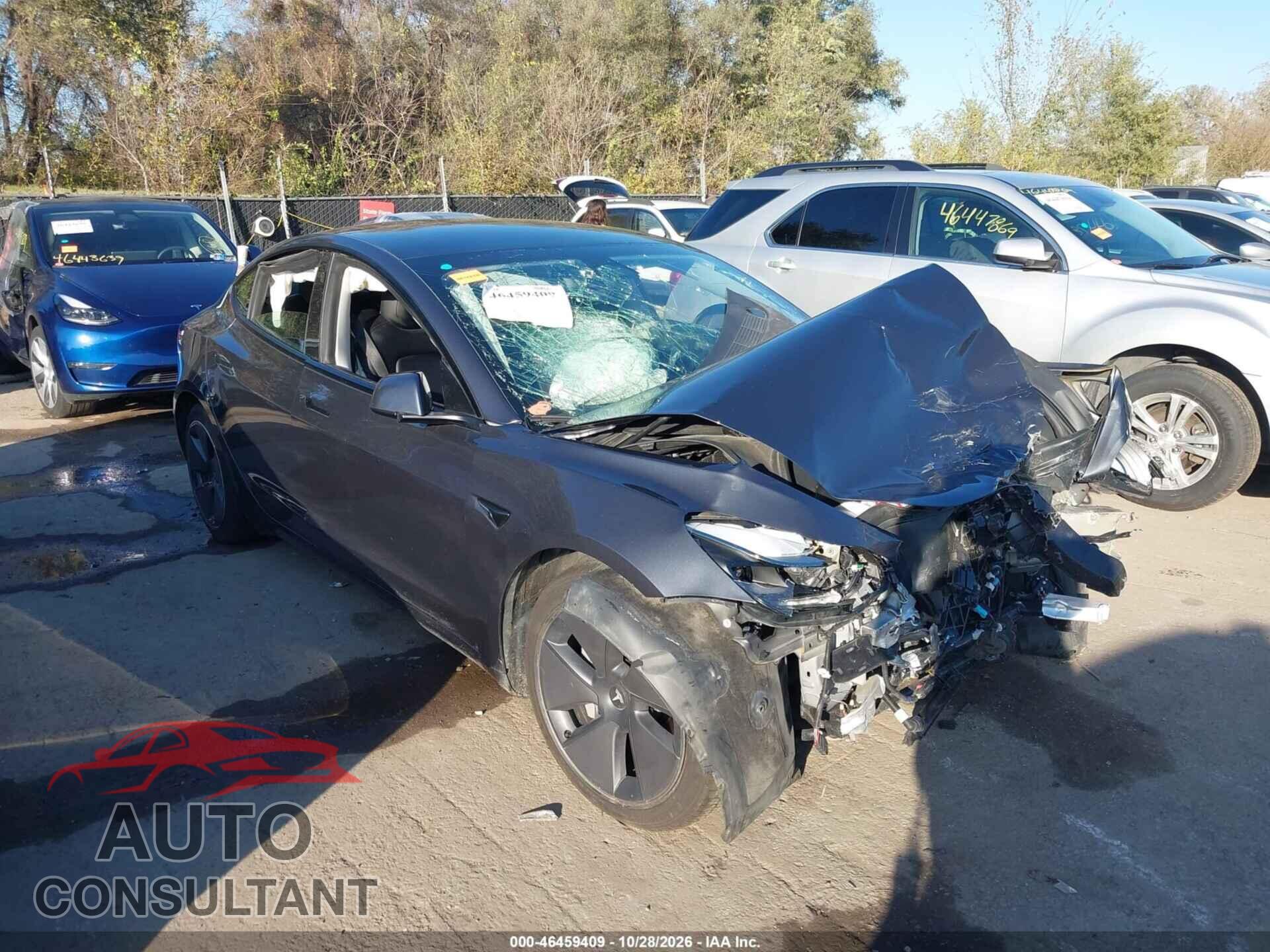 TESLA MODEL 3 2021 - 5YJ3E1EB3MF066242