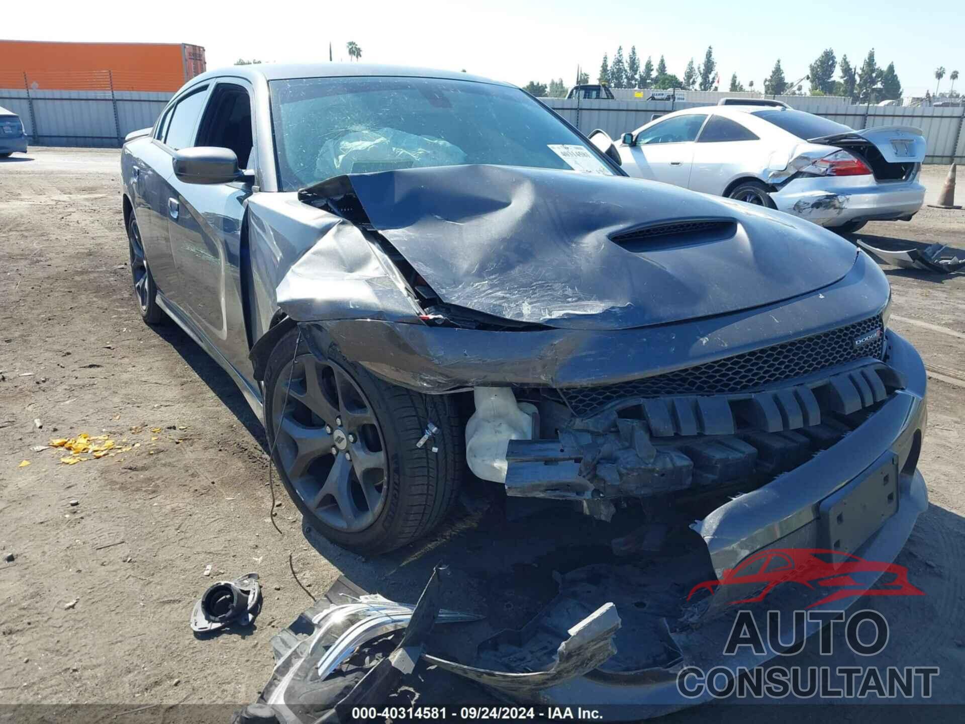 DODGE CHARGER 2019 - 2C3CDXHG1KH584813
