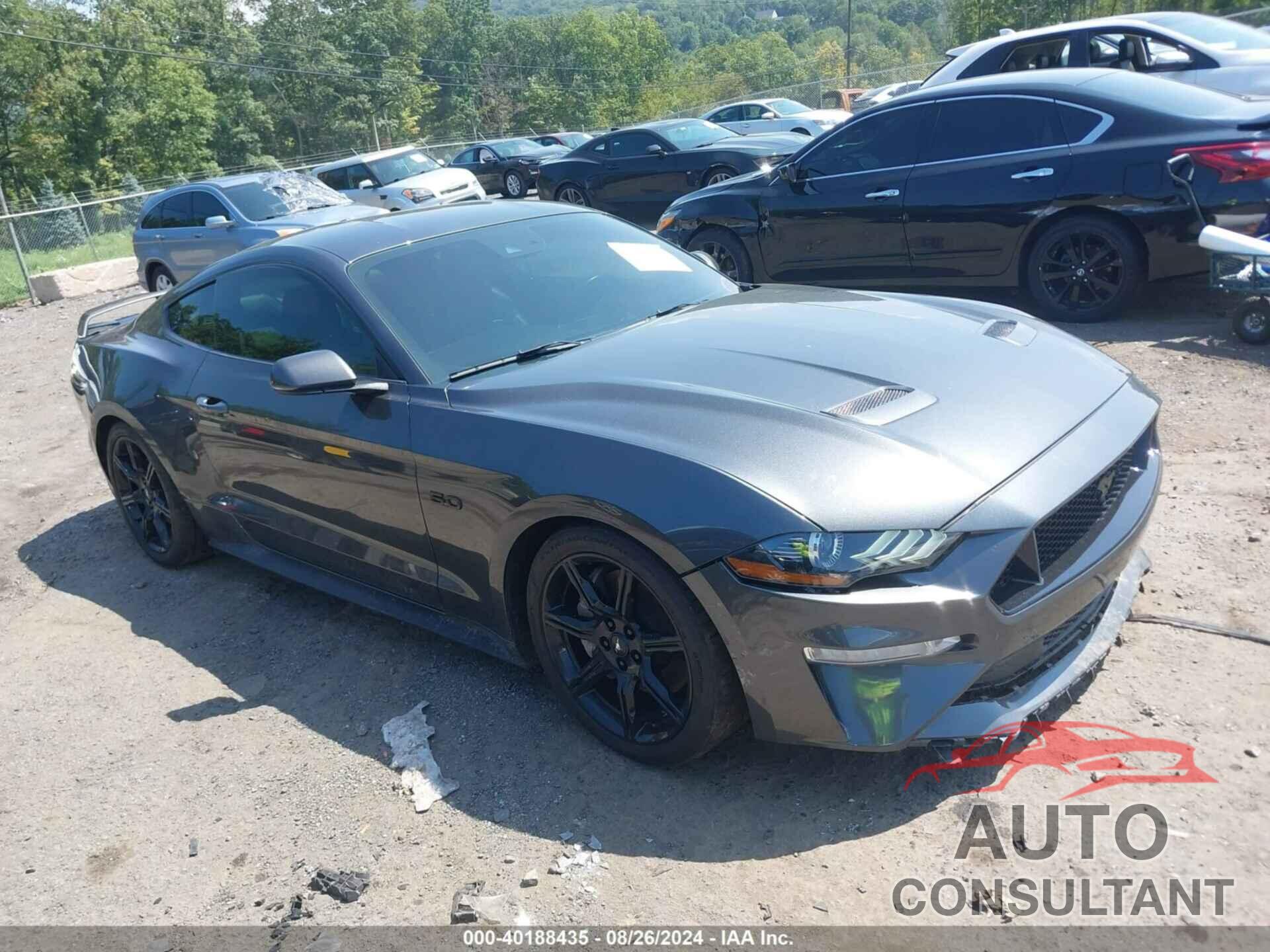 FORD MUSTANG 2019 - 1FA6P8CF5K5122045