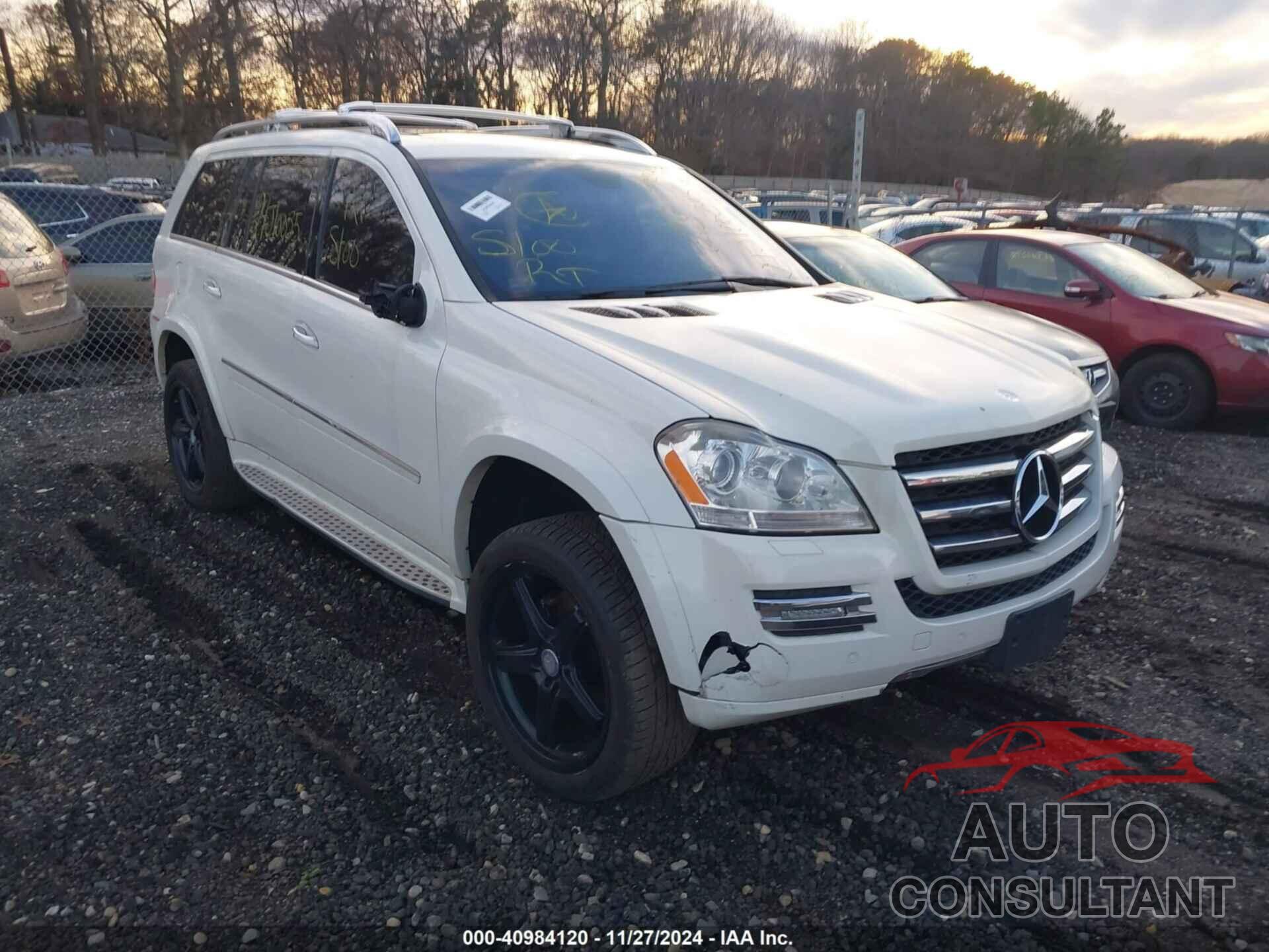 MERCEDES-BENZ GL 550 2009 - 4JGBF86E59A501204