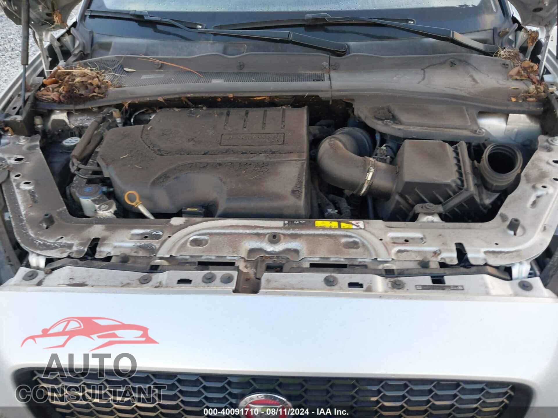 JAGUAR E-PACE 2019 - SADFP2FX7K1Z34034