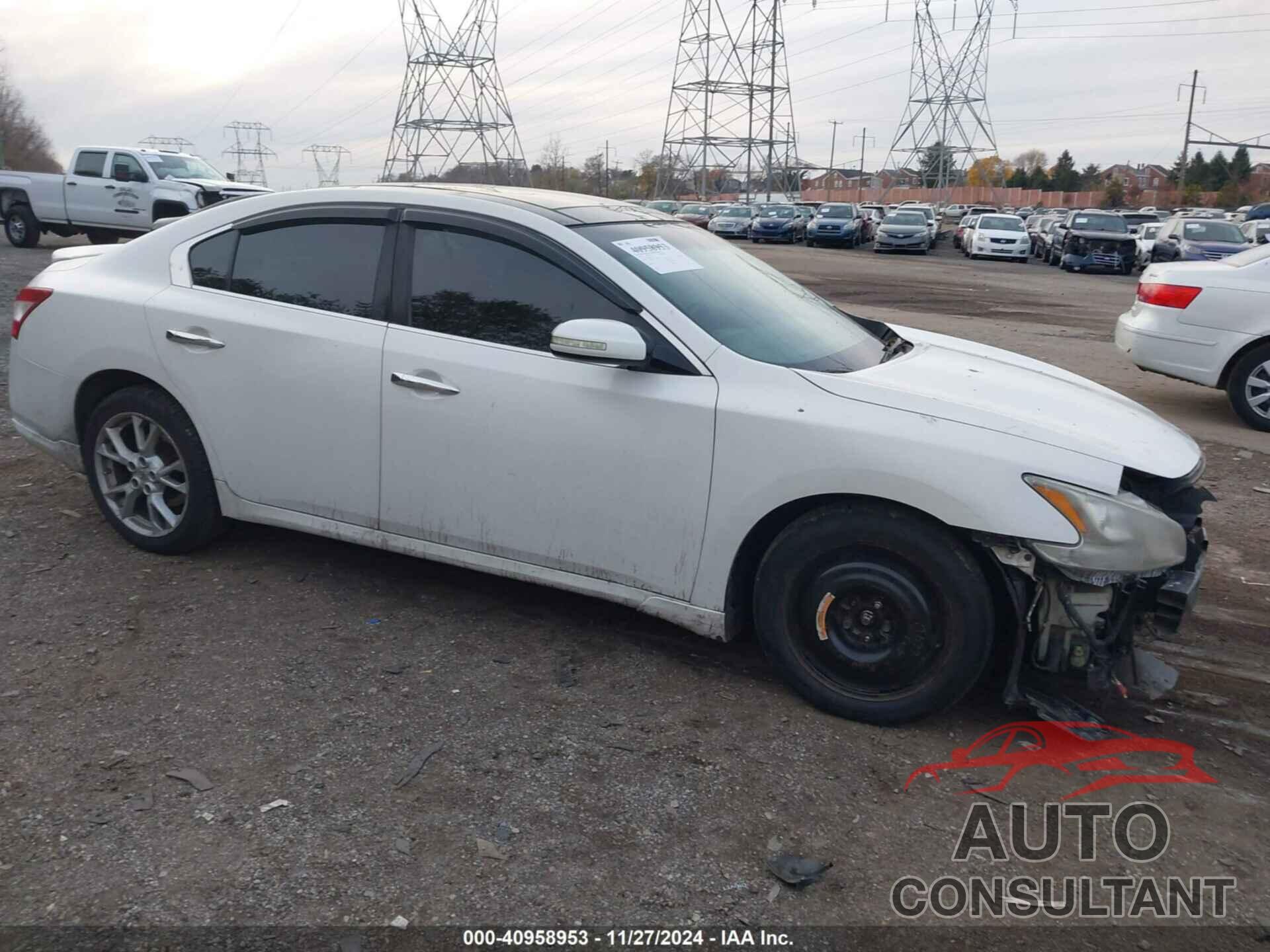 NISSAN MAXIMA 2009 - 1N4AA51E99C843947