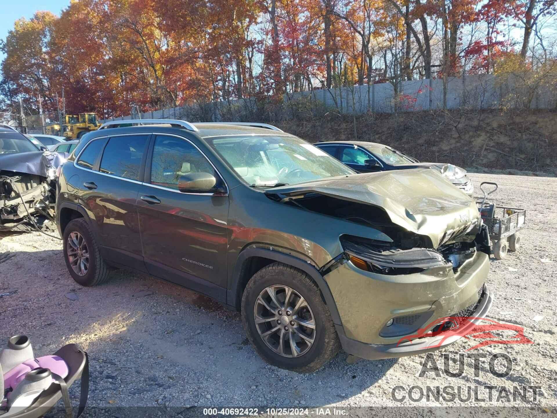 JEEP CHEROKEE 2019 - 1C4PJMLB3KD472706