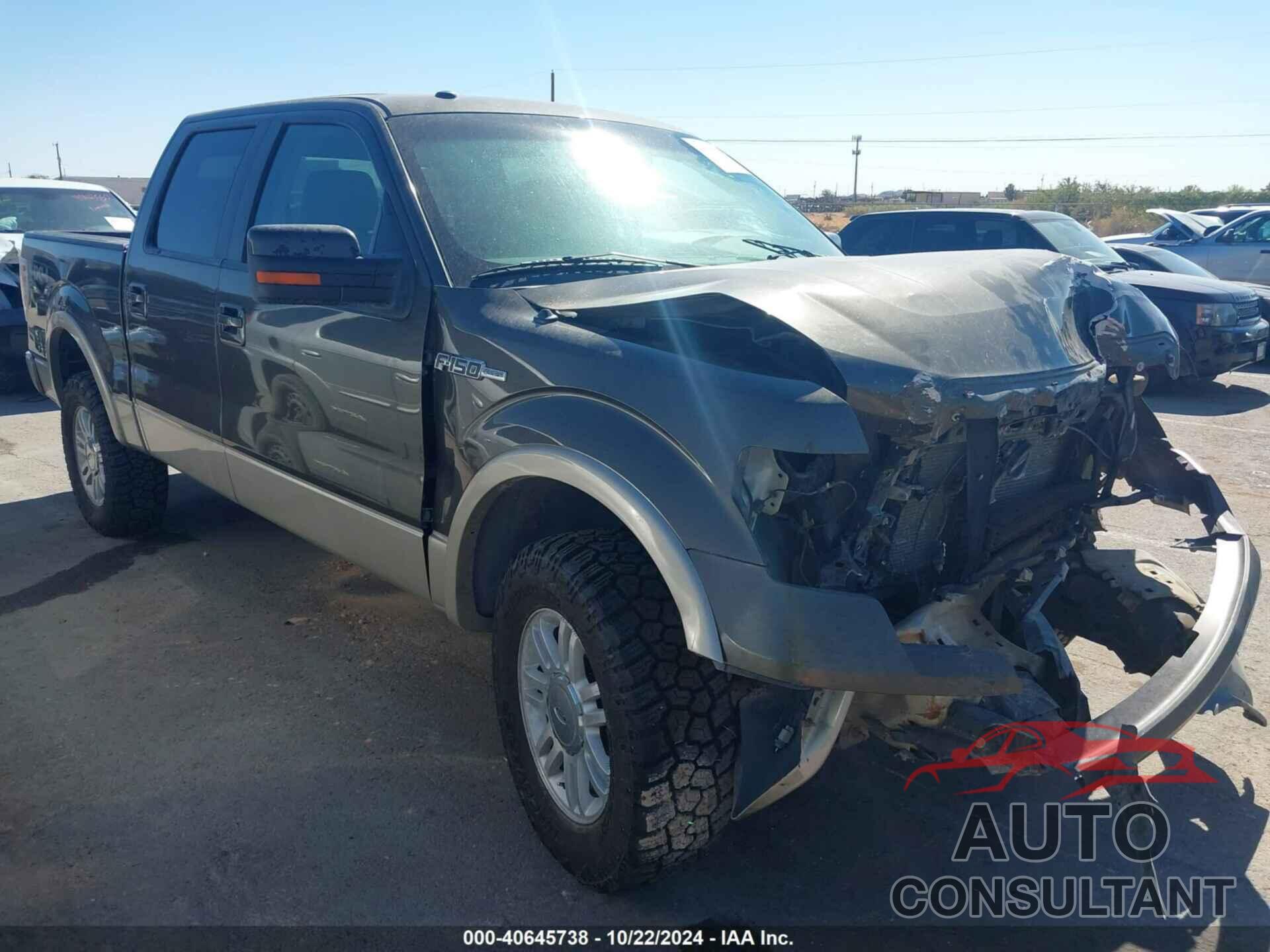 FORD F-150 2009 - 1FTPW14V99FA82071