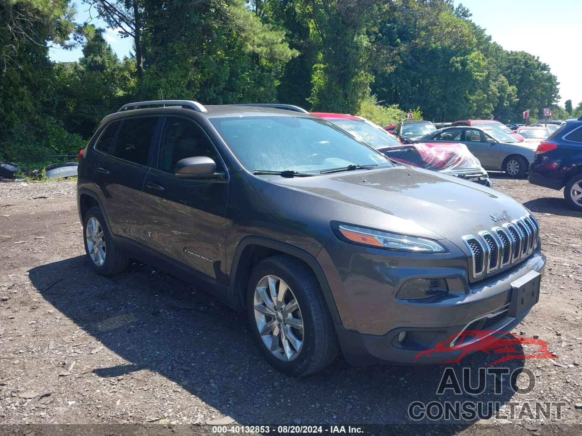 JEEP CHEROKEE 2016 - 1C4PJLDB1GW229559