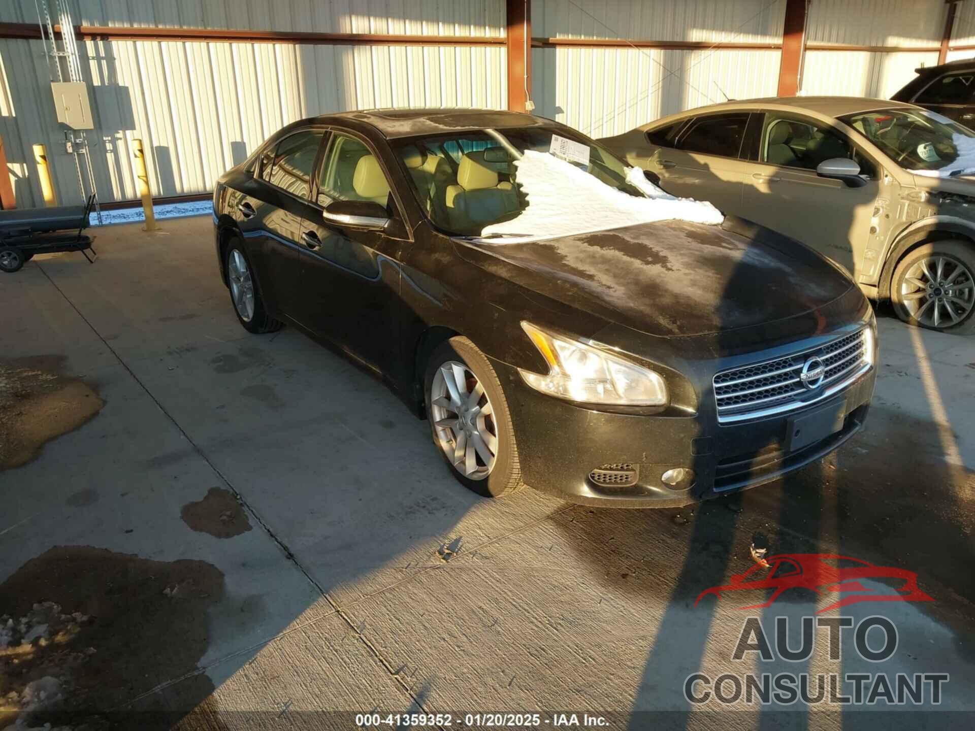 NISSAN MAXIMA 2010 - 1N4AA5AP1AC836545