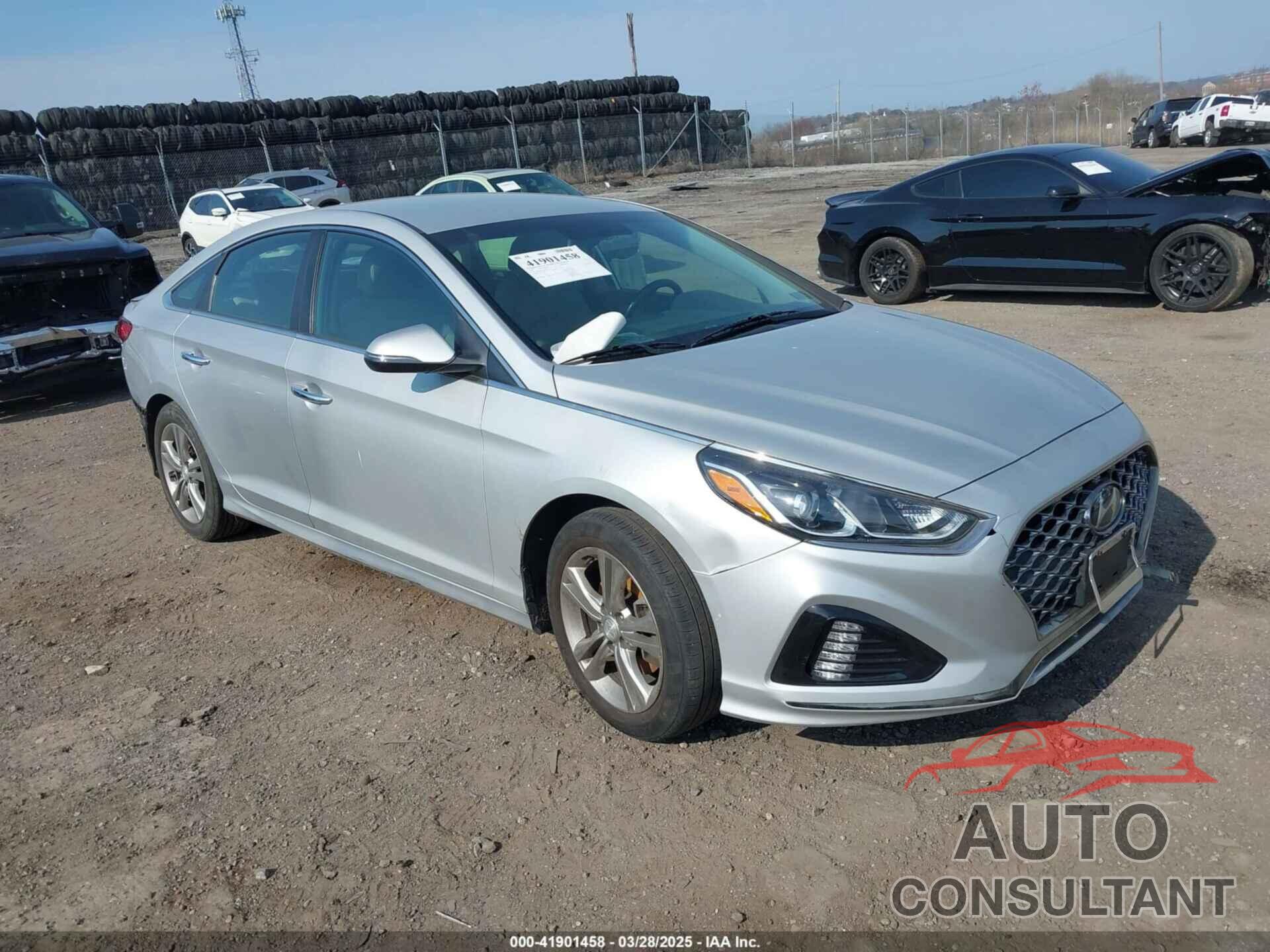 HYUNDAI SONATA 2019 - 5NPE34AF9KH777242