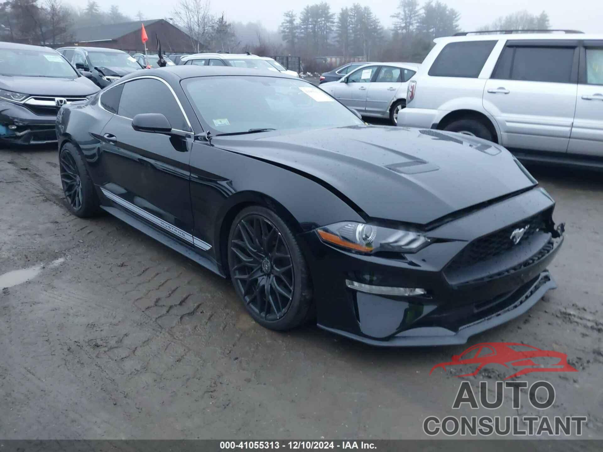 FORD MUSTANG 2019 - 1FA6P8TH6K5139647