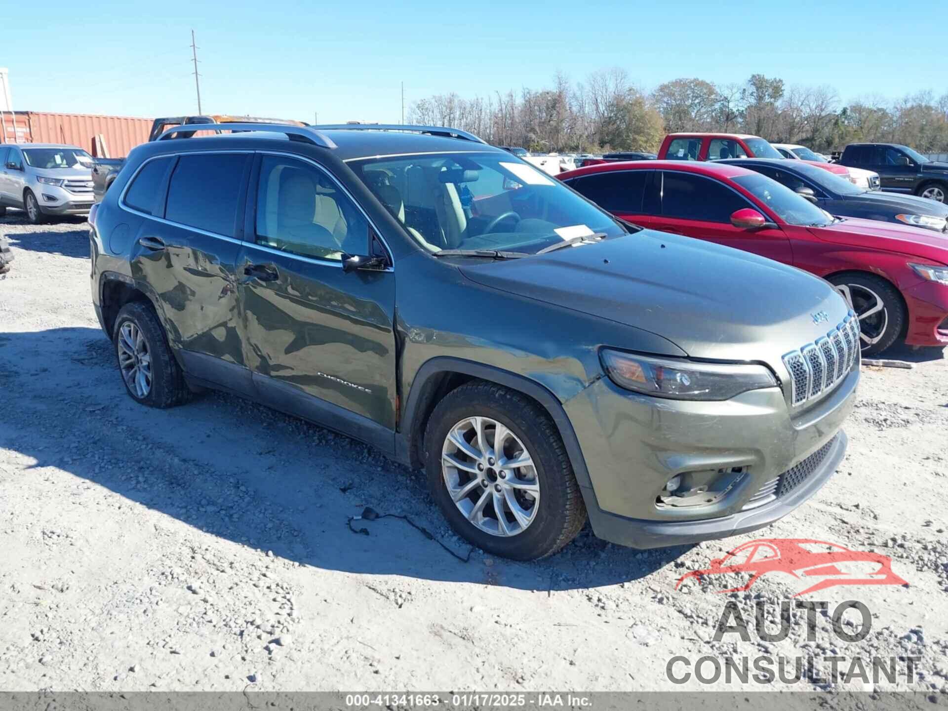 JEEP CHEROKEE 2019 - 1C4PJLCX1KD120603