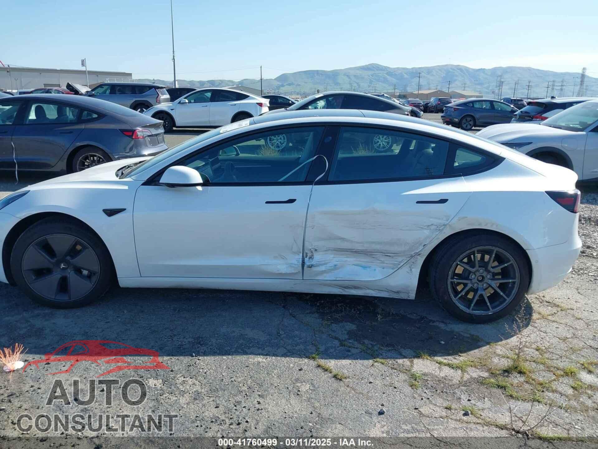 TESLA MODEL 3 2021 - 5YJ3E1EA7MF021196
