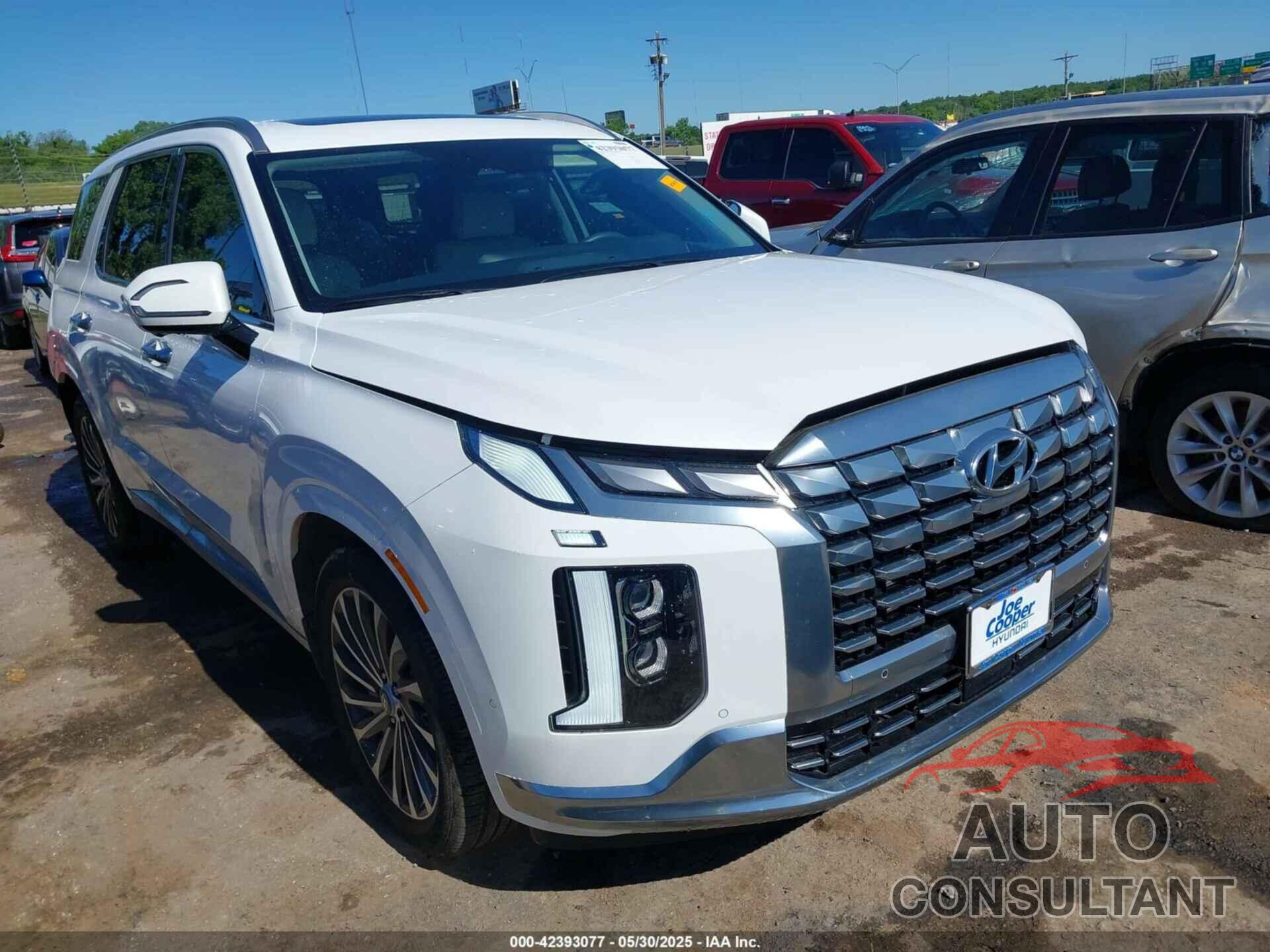 HYUNDAI PALISADE 2025 - KM8R74GE0SU828200