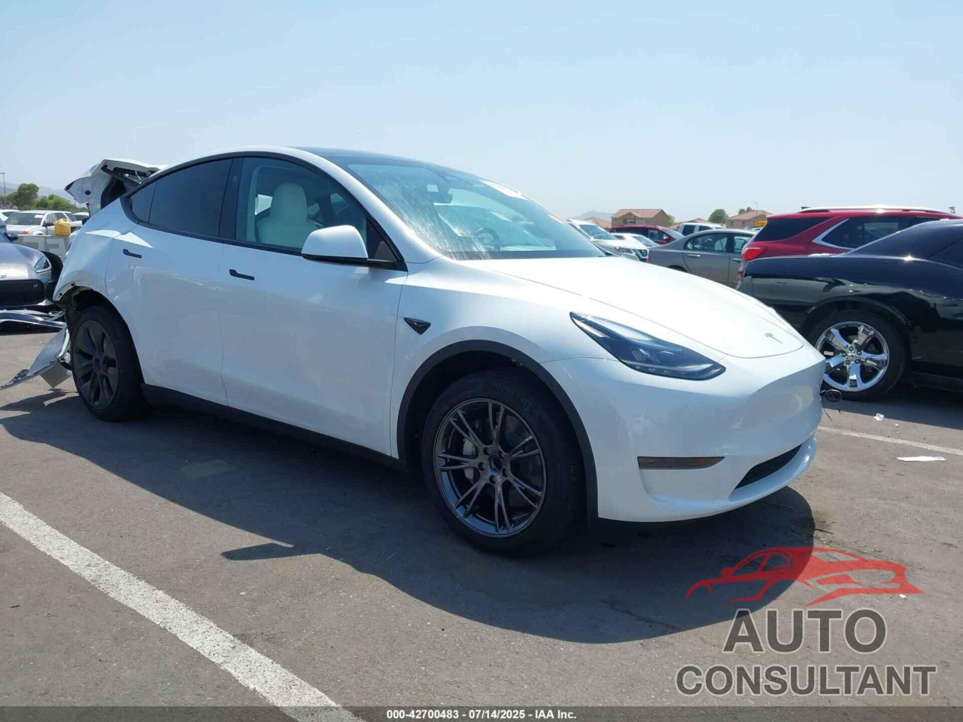 TESLA MODEL Y 2024 - 7SAYGDED8RF201955