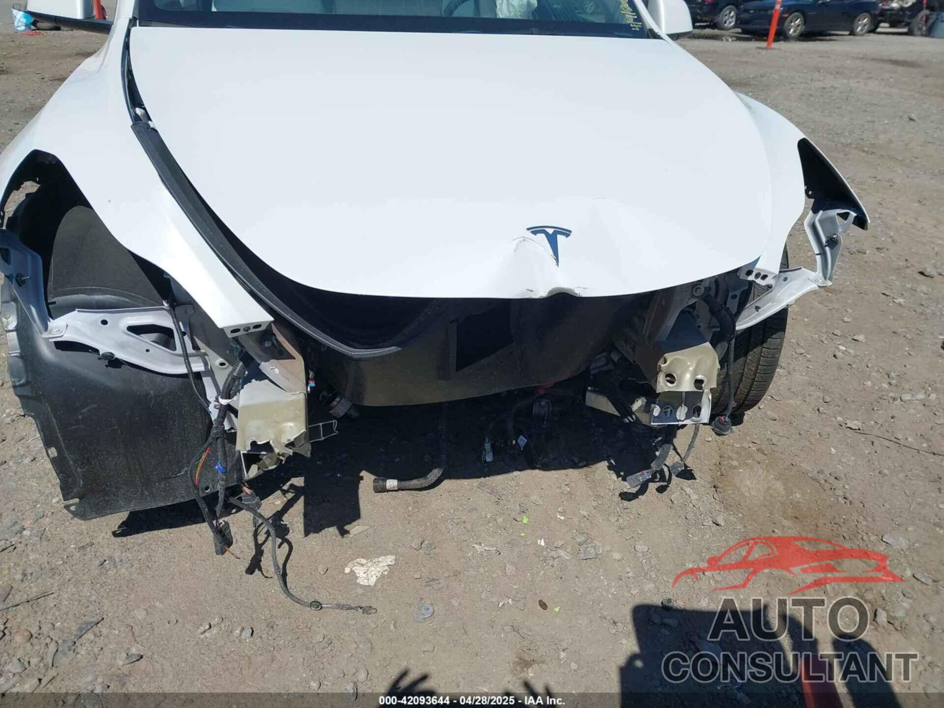 TESLA MODEL Y 2023 - 7SAYGDEF2PF858782