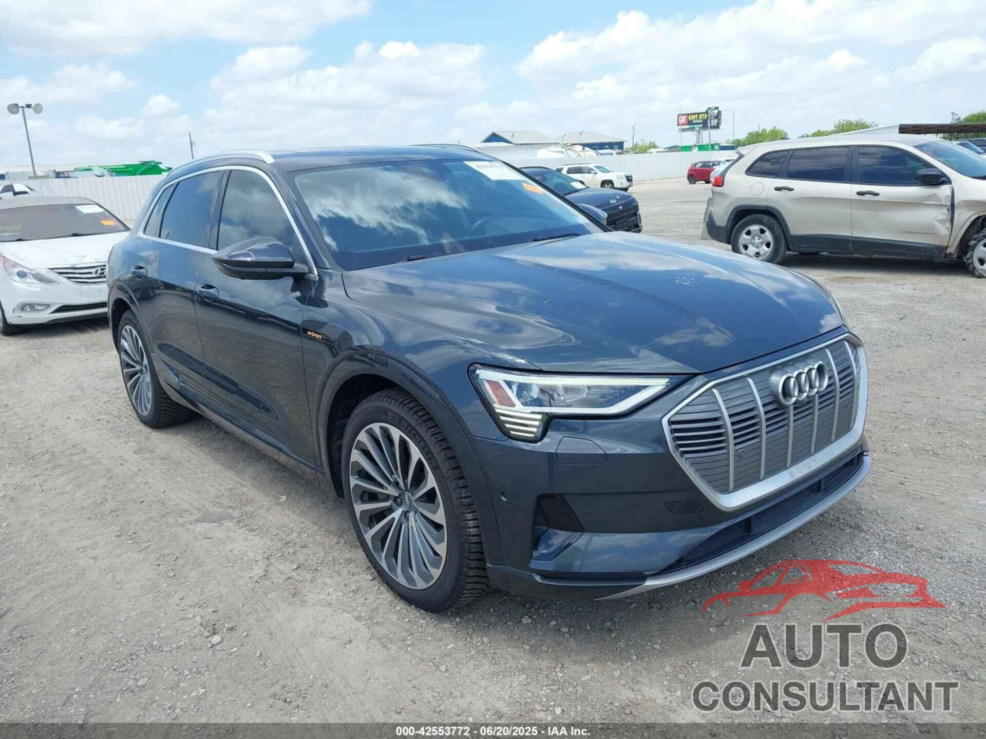 AUDI E-TRON 2019 - WA1VAAGE1KB025145