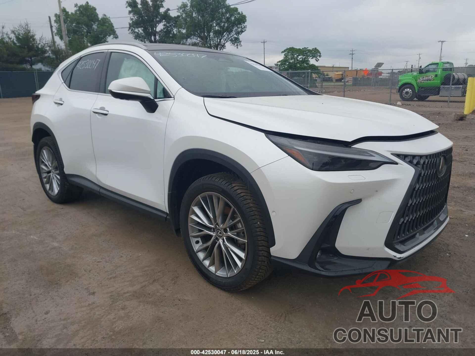 LEXUS NX 350H 2024 - 2T2HKCEZ7RC022209