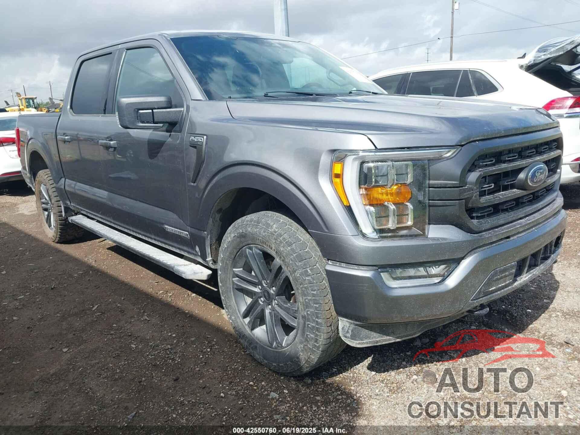 FORD F-150 2023 - 1FTFW1ED6PFC74448