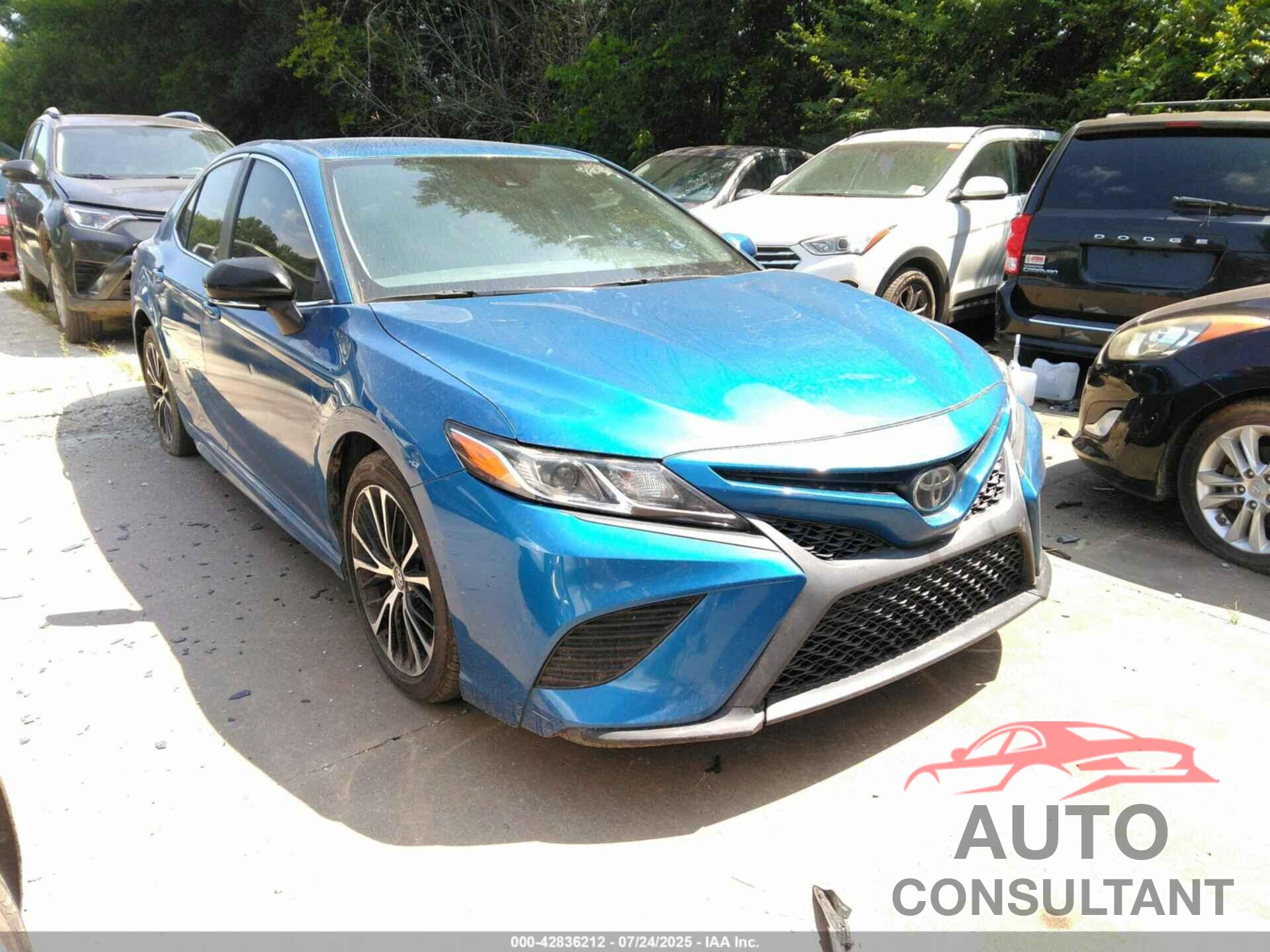 TOYOTA CAMRY 2019 - 4T1B11HK7KU216534