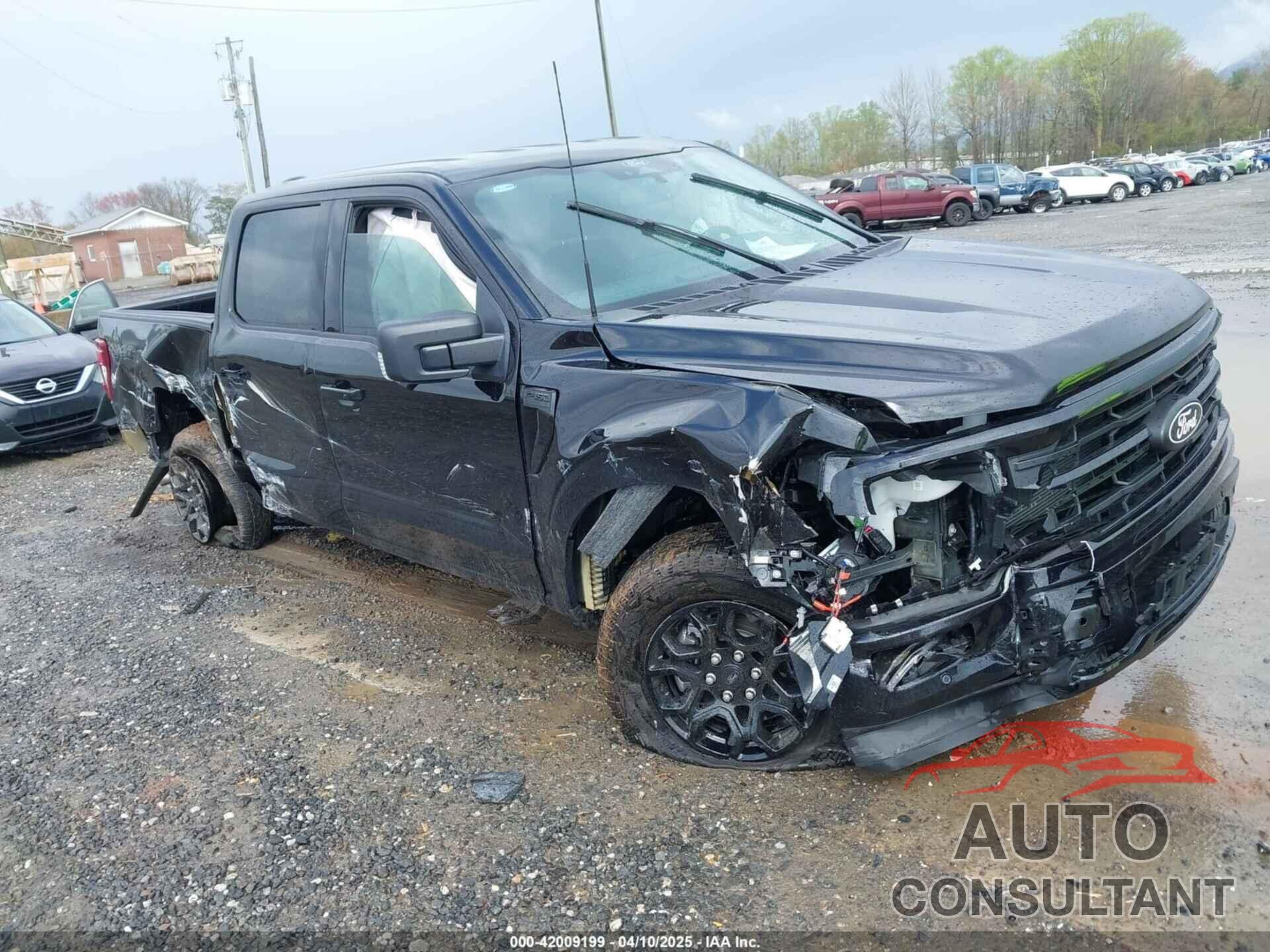 FORD F-150 2024 - 1FTEW3LP6RKE87902