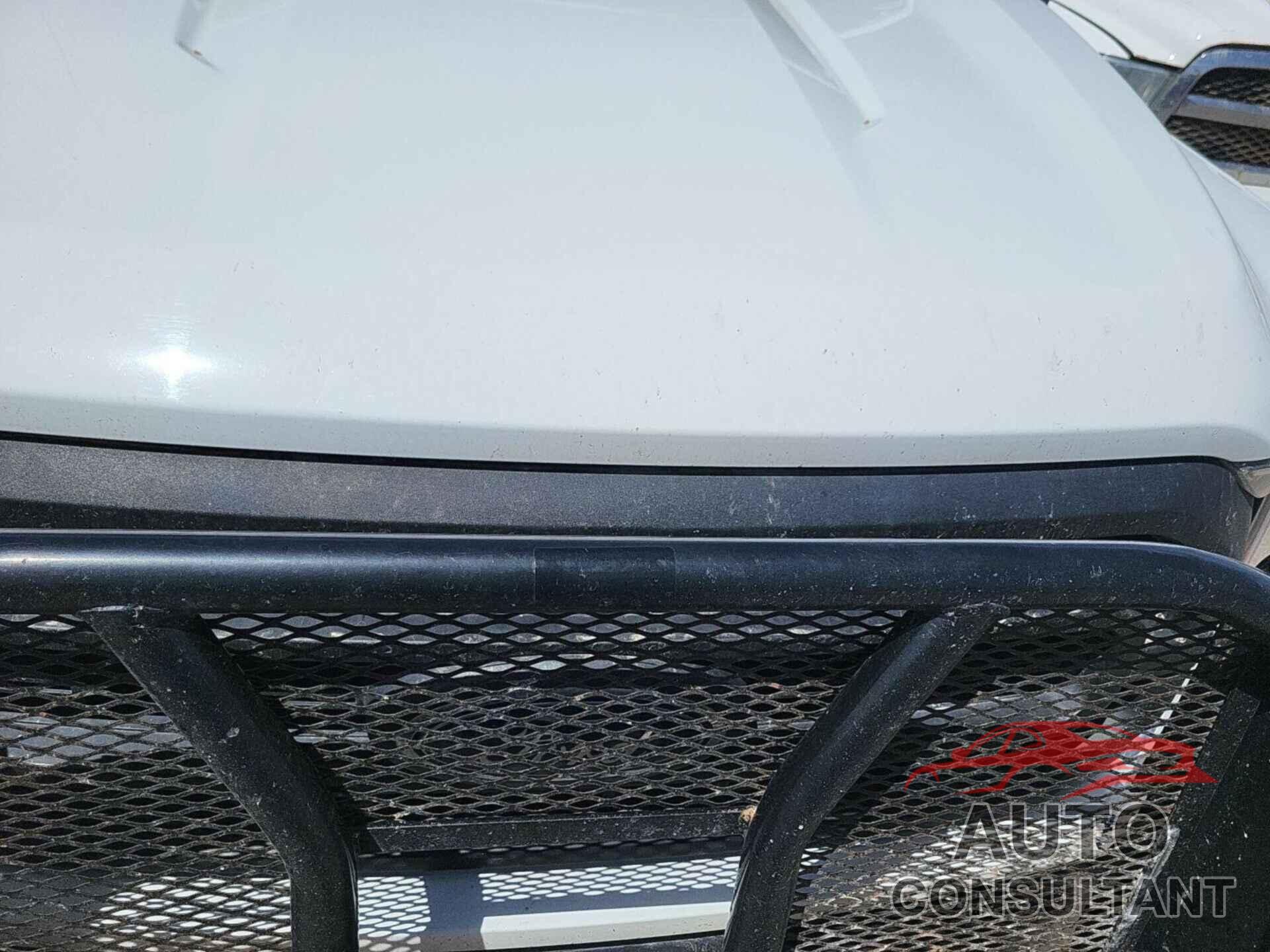 FORD F150 2021 - 1FTFW1E56MFB63743