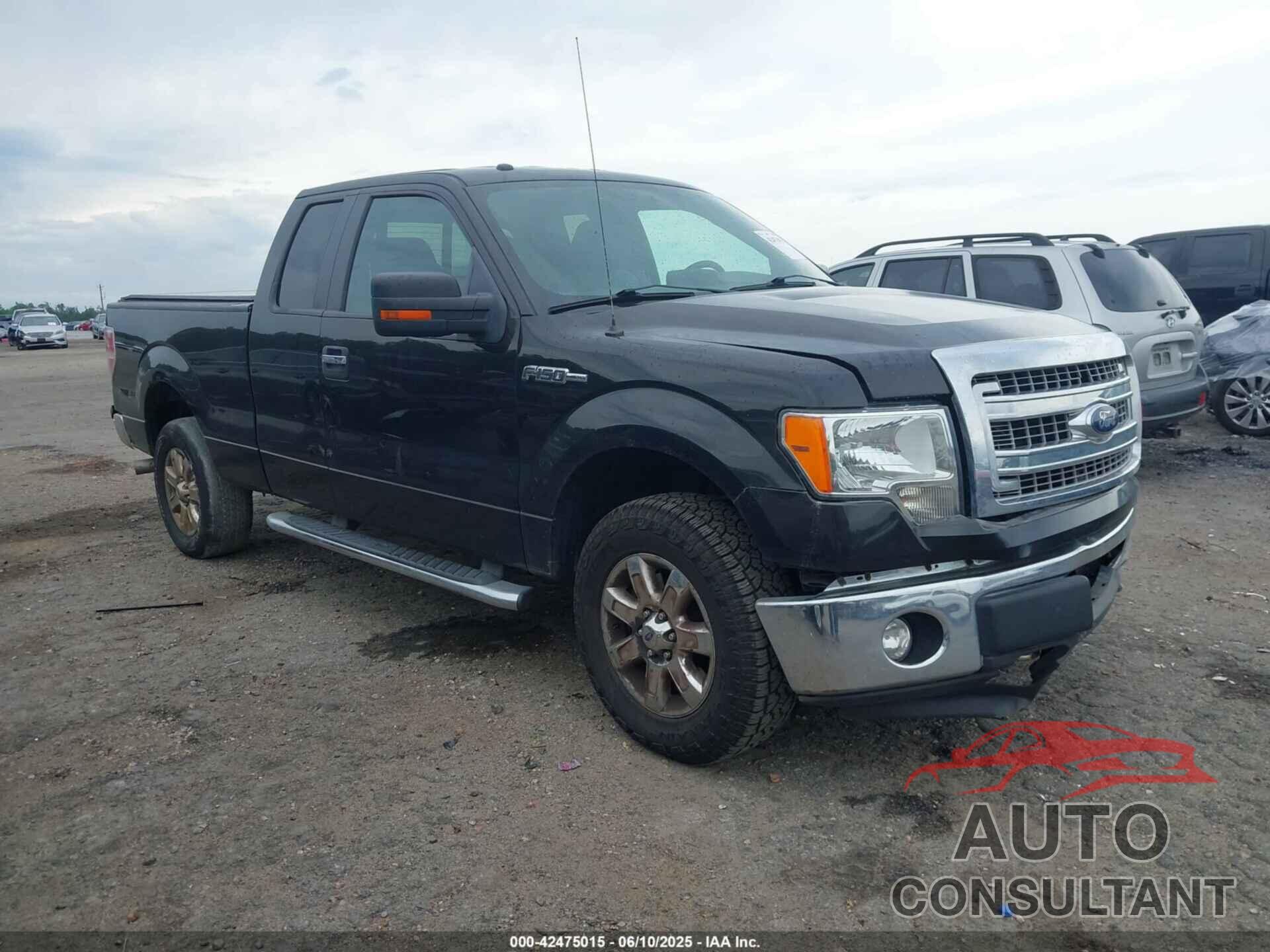 FORD F-150 2013 - 1FTFX1EFXDFC96317