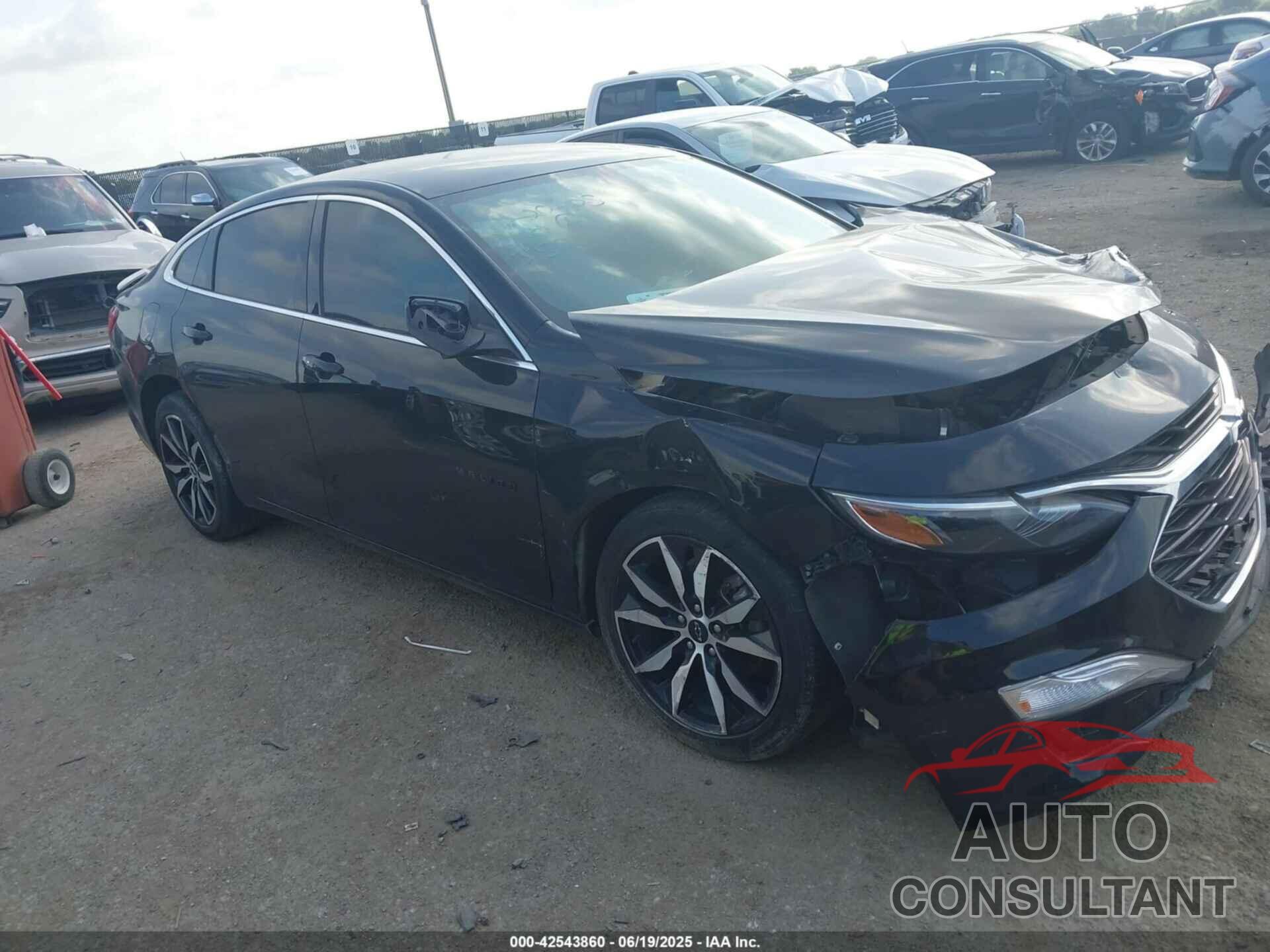 CHEVROLET MALIBU 2022 - 1G1ZG5STXNF211145