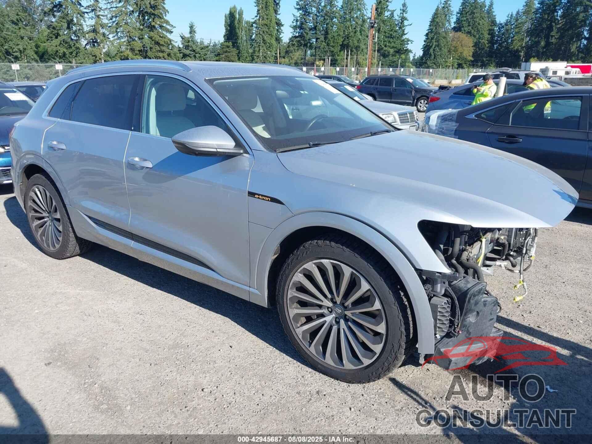 AUDI E-TRON 2019 - WA1VAAGE3KB010498