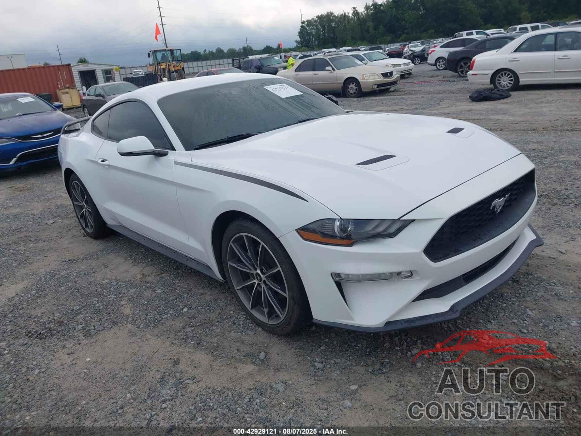 FORD MUSTANG 2019 - 1FA6P8TH5K5159503