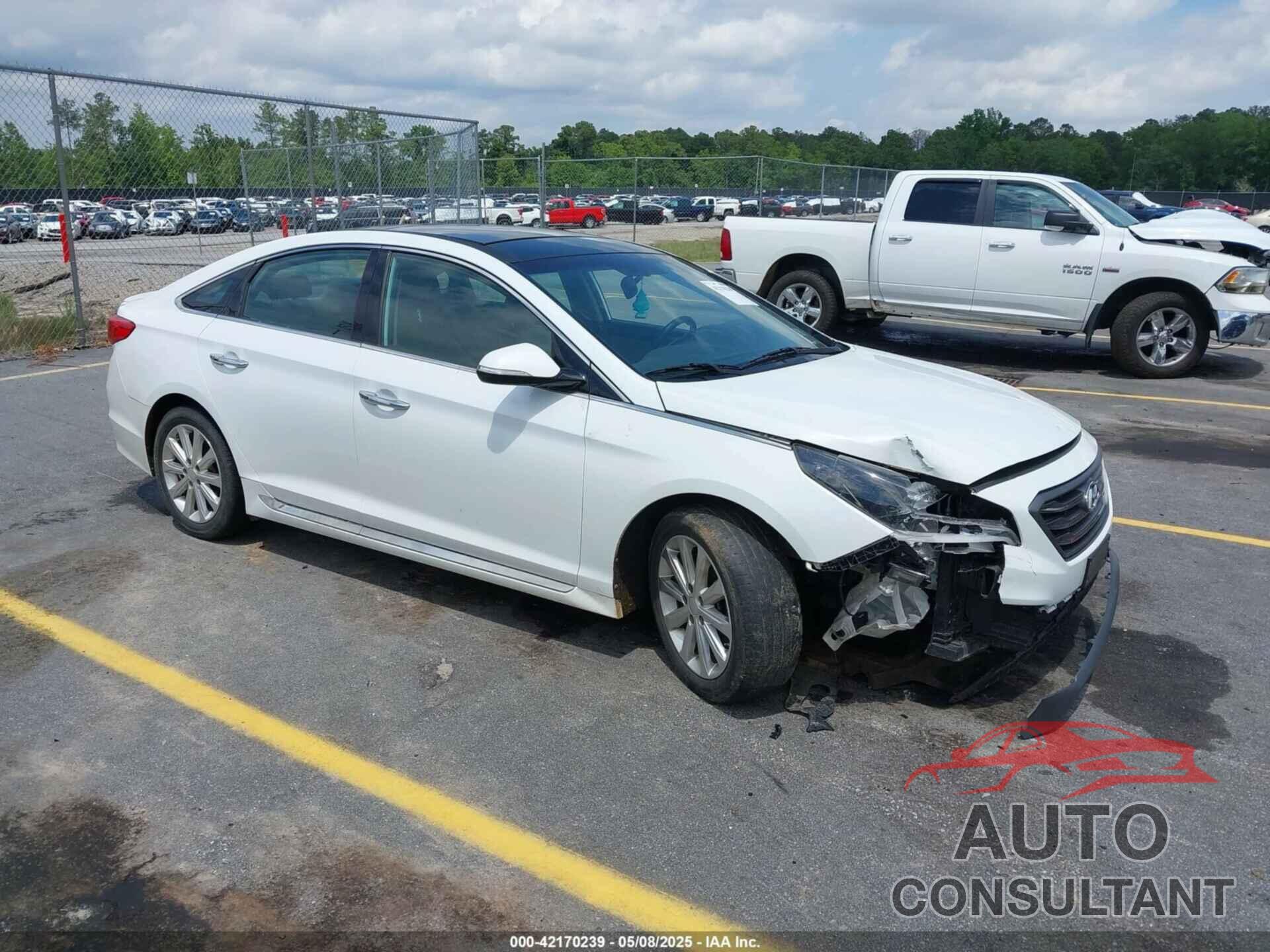 HYUNDAI SONATA 2016 - 5NPE34AF7GH341805
