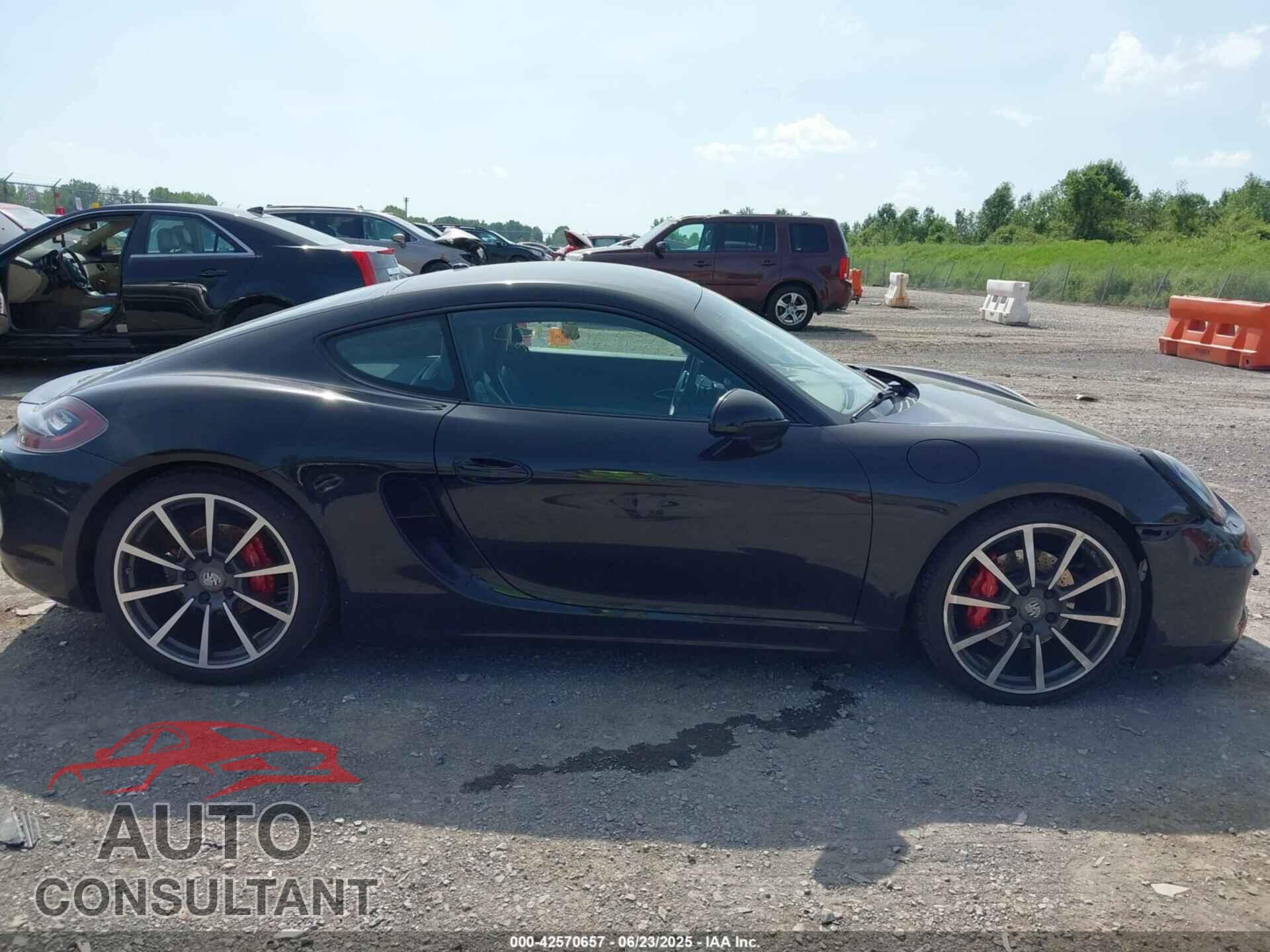 PORSCHE CAYMAN 2014 - WP0AB2A83EK190127