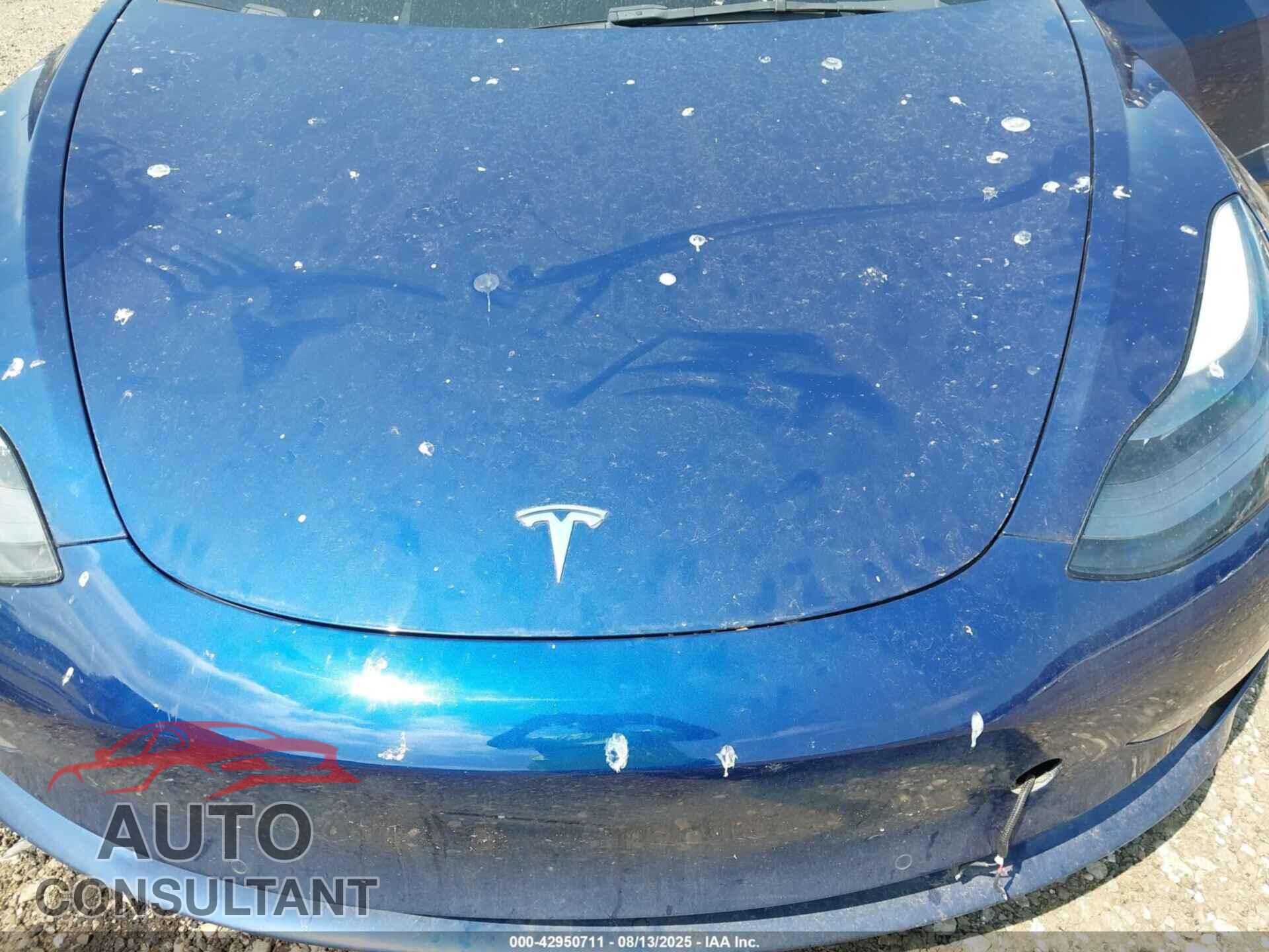 TESLA MODEL 3 2022 - 5YJ3E1EA2NF306051
