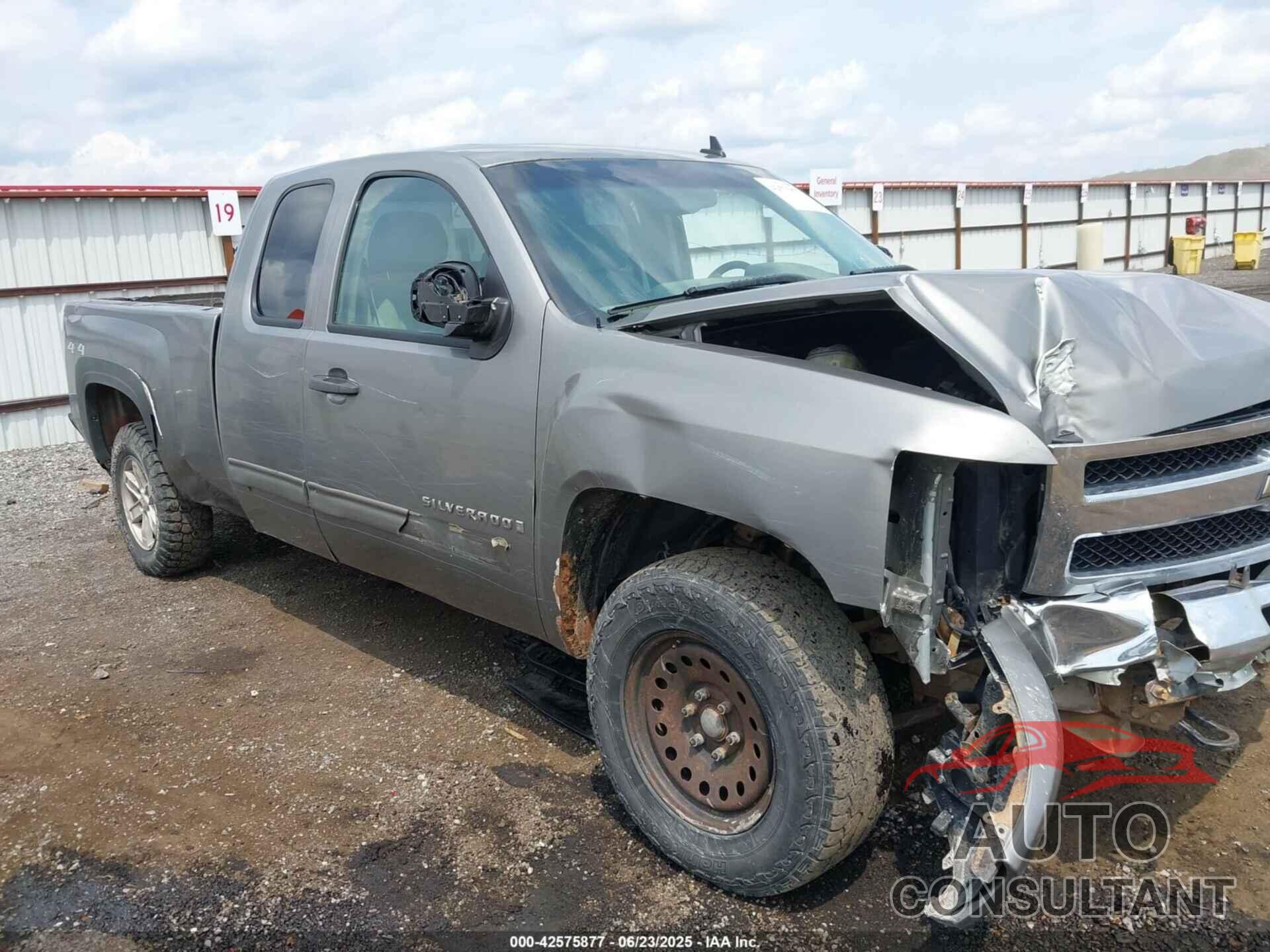 CHEVROLET SILVERADO 1500 2009 - 1GCEK19J59Z183356