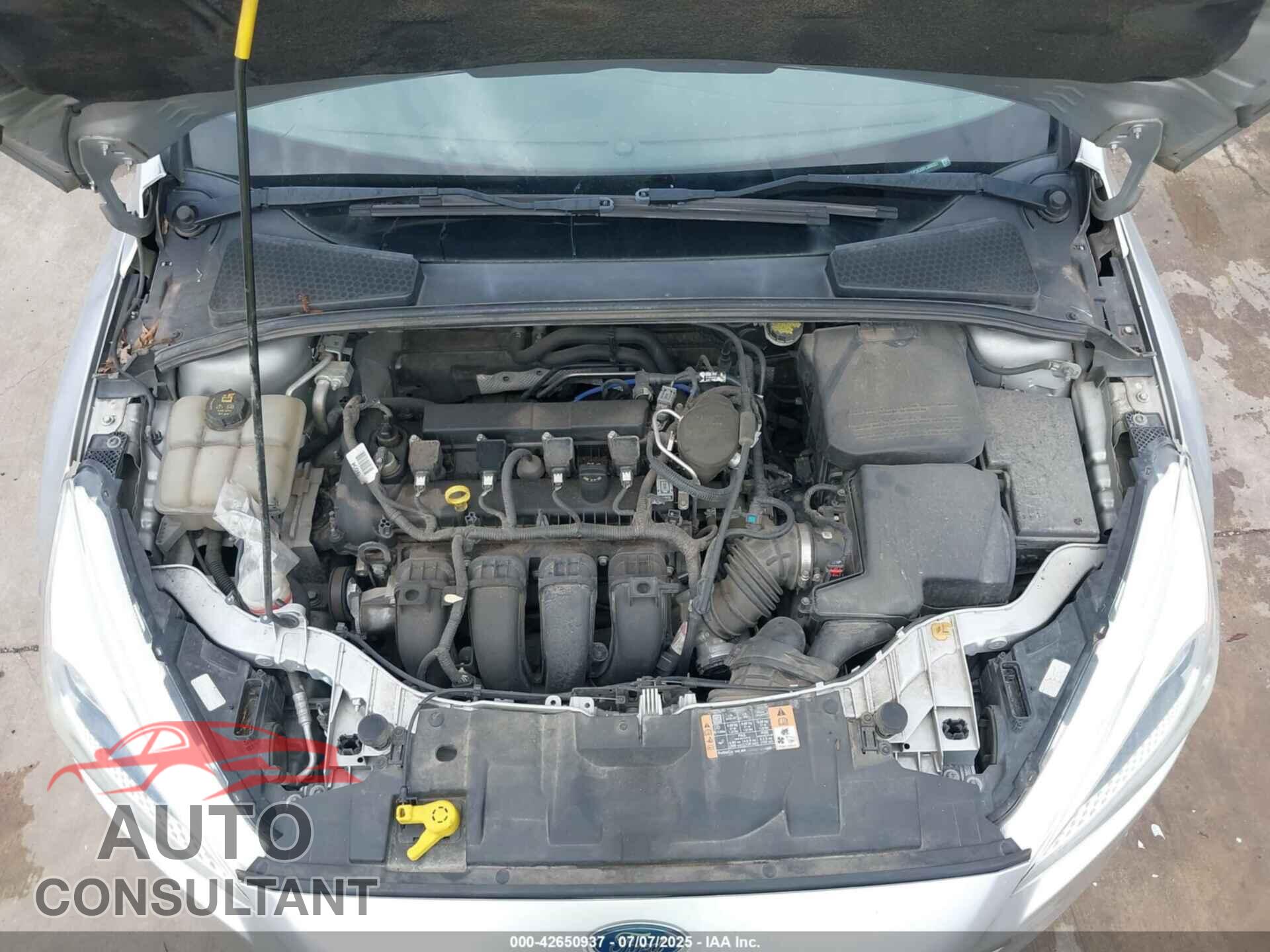 FORD FOCUS 2015 - 1FADP3E20FL368281