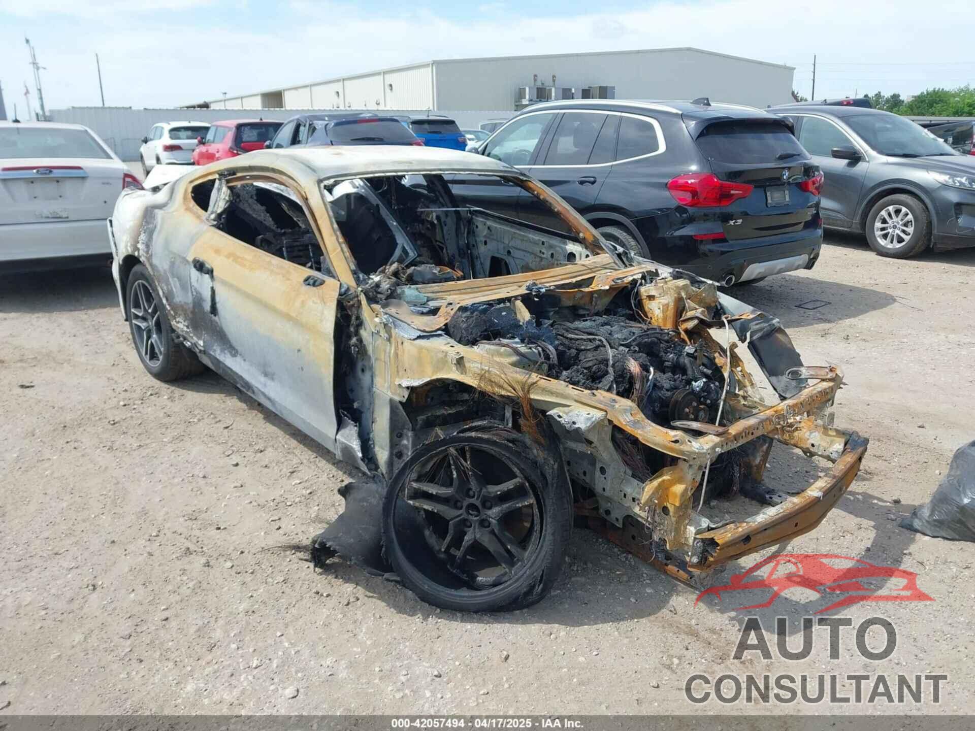 FORD MUSTANG 2023 - 1FA6P8CF6P5303050