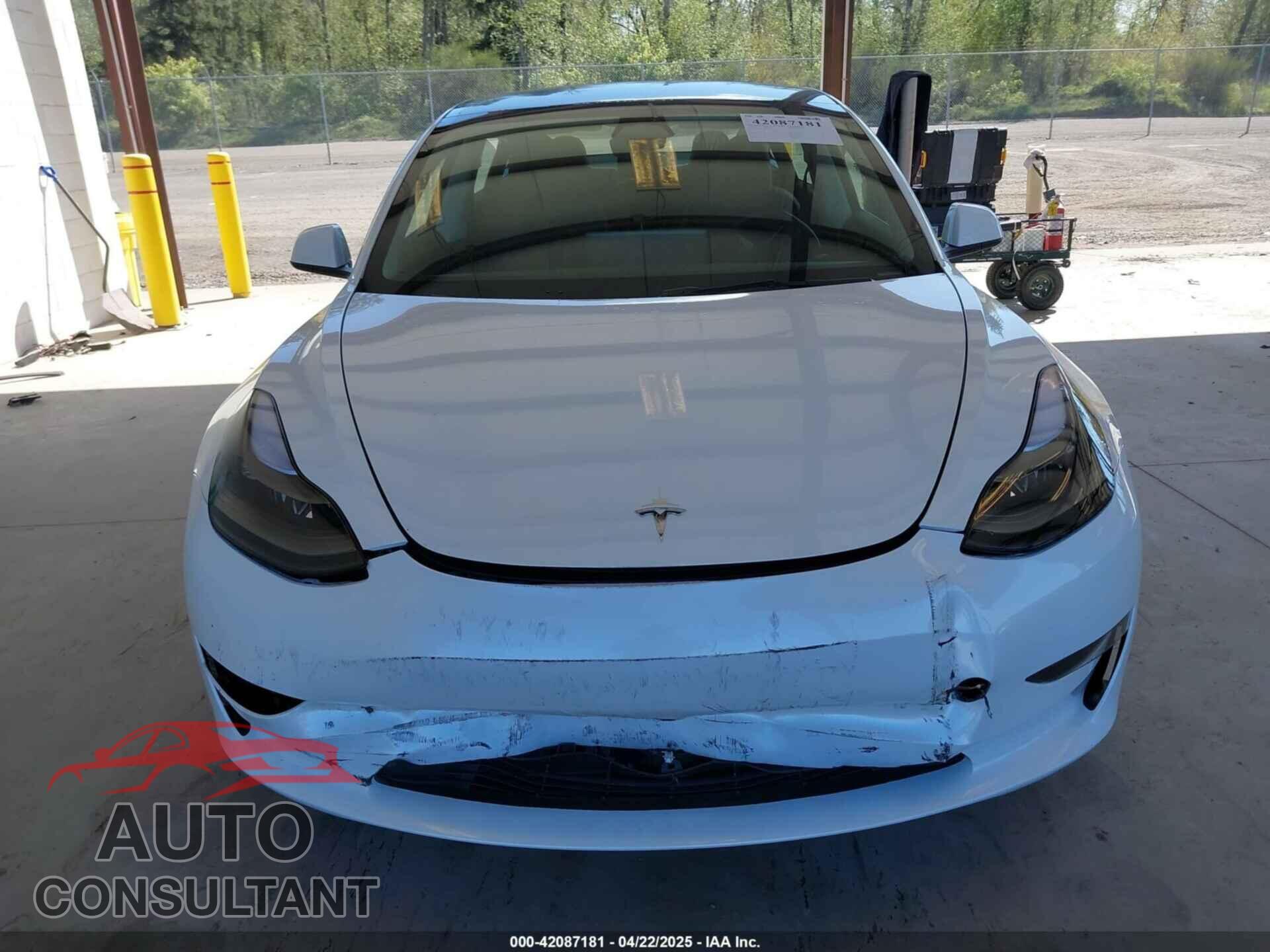 TESLA MODEL 3 2023 - 5YJ3E1EA5PF610431
