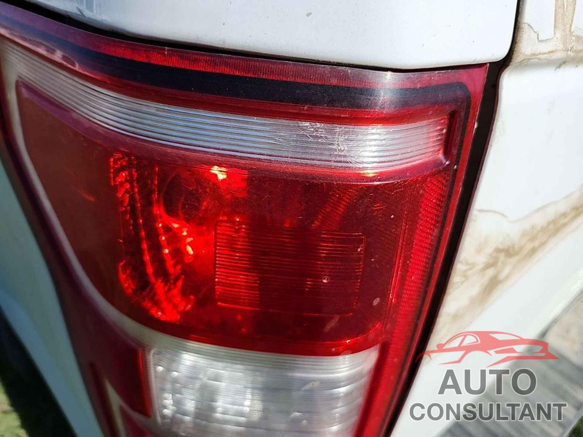 FORD F150 2019 - 1FTFX1E5XKKD84568