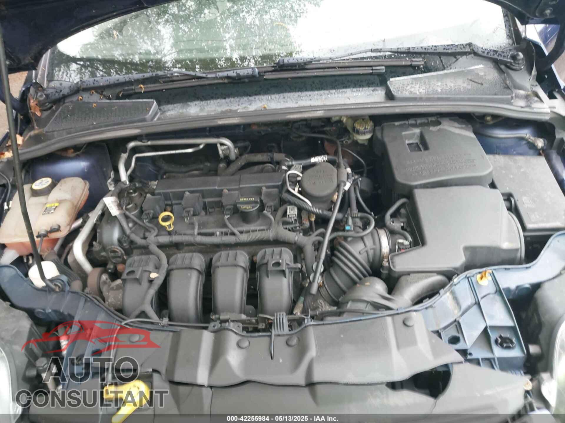 FORD FOCUS 2012 - 1FAHP3K25CL109013