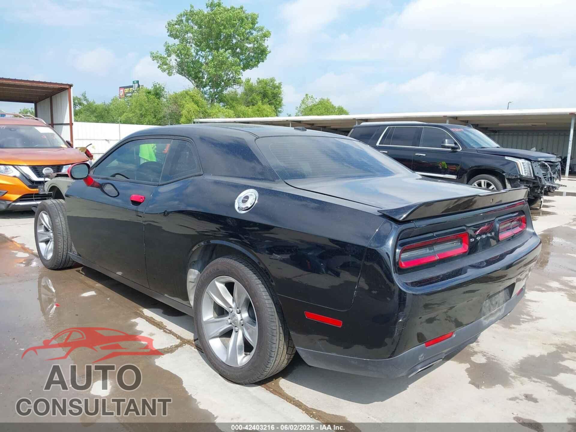 DODGE CHALLENGER 2019 - 2C3CDZAG9KH503434