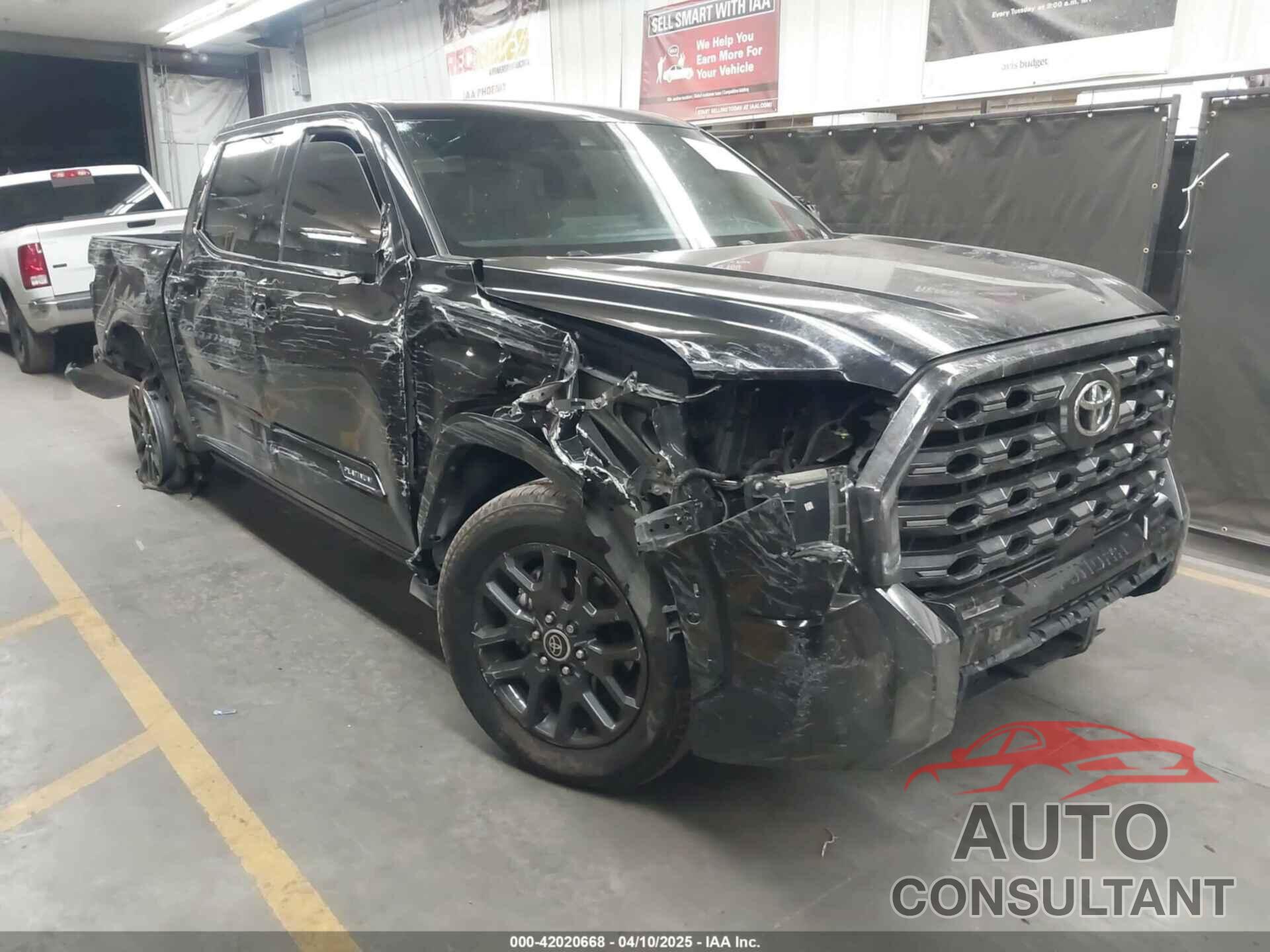 TOYOTA TUNDRA 2022 - 5TFNA5AB6NX003712