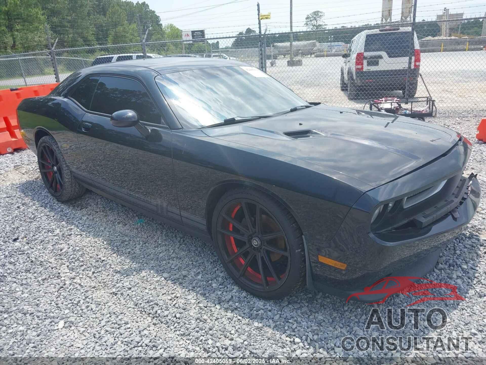 DODGE CHALLENGER 2013 - 2C3CDYAG3DH645890