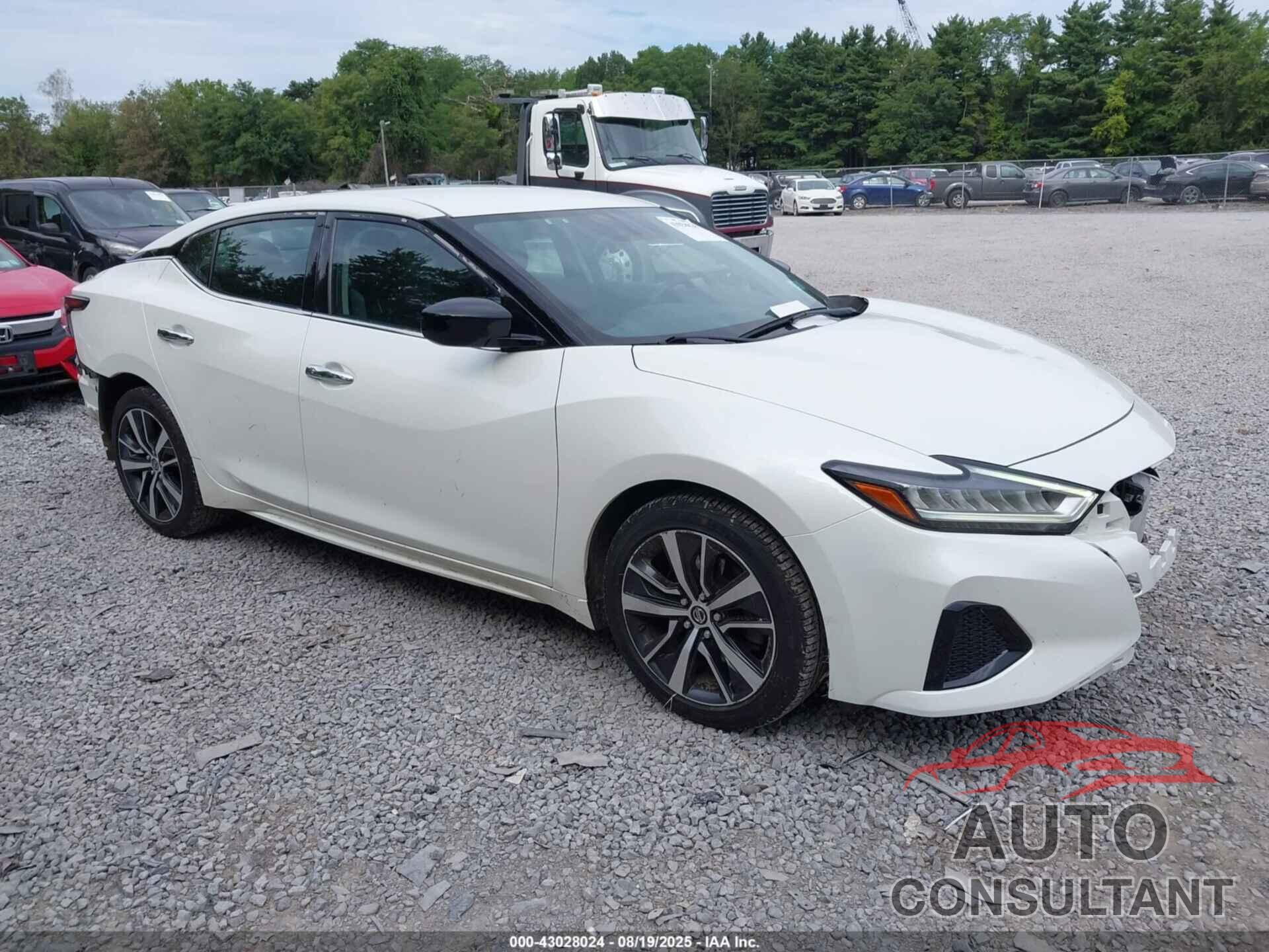 NISSAN MAXIMA 2019 - 1N4AA6AV4KC381552
