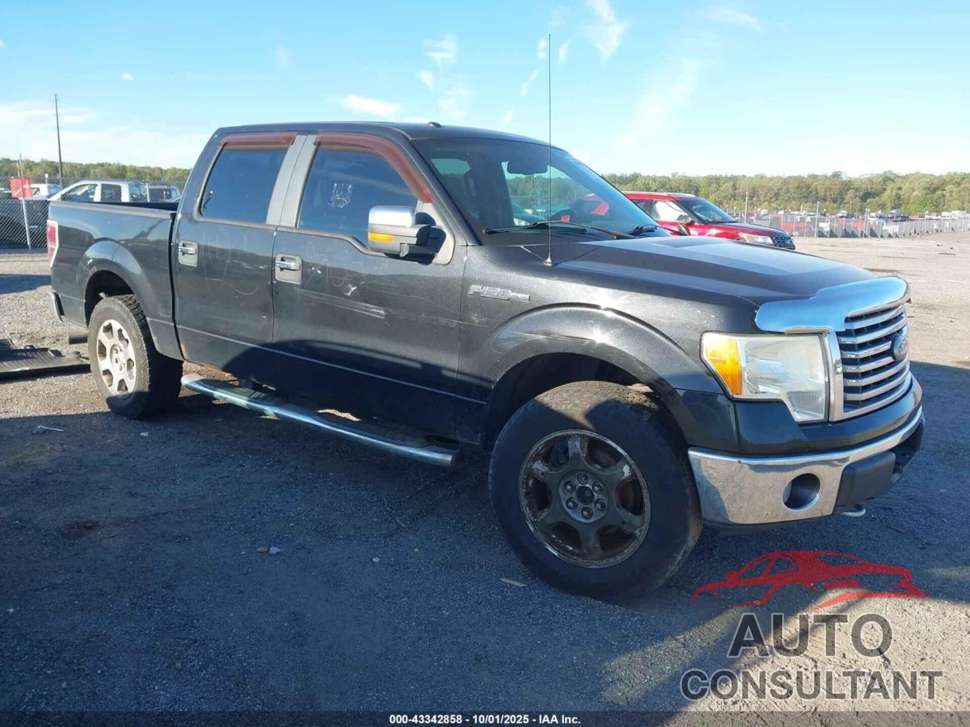 FORD F-150 2010 - 1FTFW1EV1AFC99354